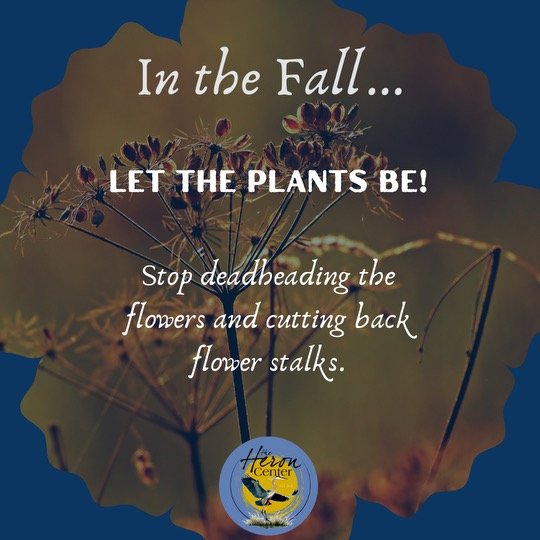Leave the Leaves - 3.jpeg
