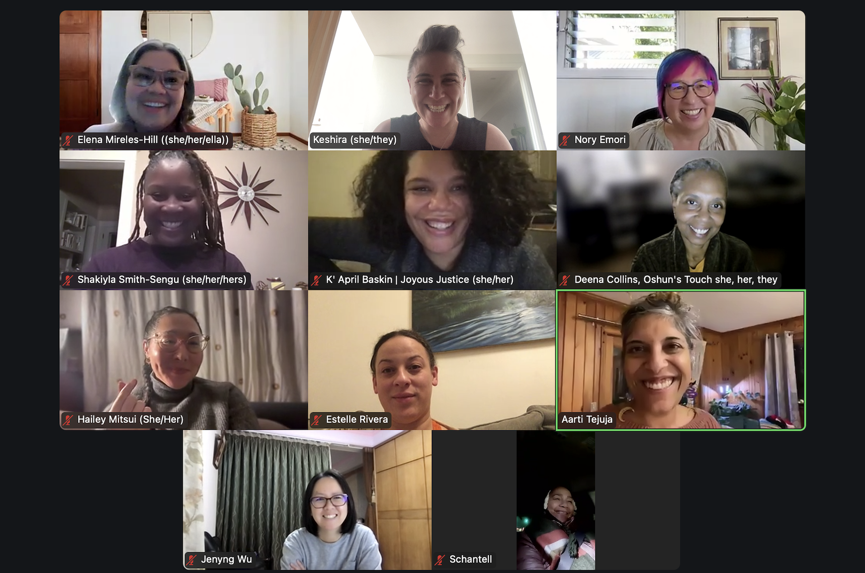 A Zoom video call with 12 participants, each in individual video windows, smiling and engaged. The names and pronouns of participants are visible.