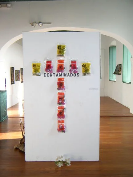 “Contaminados” 2010. Bieké series. Flower petals in 10 of my brother's former Chemotherapy drug transport bags, 7' x 4'. Museo Fuerte Conde de Mirasol, Vieques, Puerto Rico. This is a commentary on the contamination & cancer rates resulting from 60+