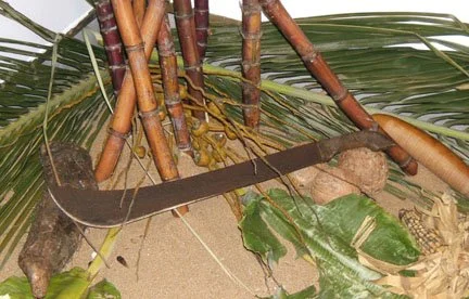 Detail, "Cuando suena el caracol" 2006. Yasmin Hernandez. El Museo's Bienal: The (S) Files at el Museo de Arte de Puerto Rico. A tribute to our jibaro past and a reclamation of jibaro culture in the present. Installation detail with sand, palms, bana