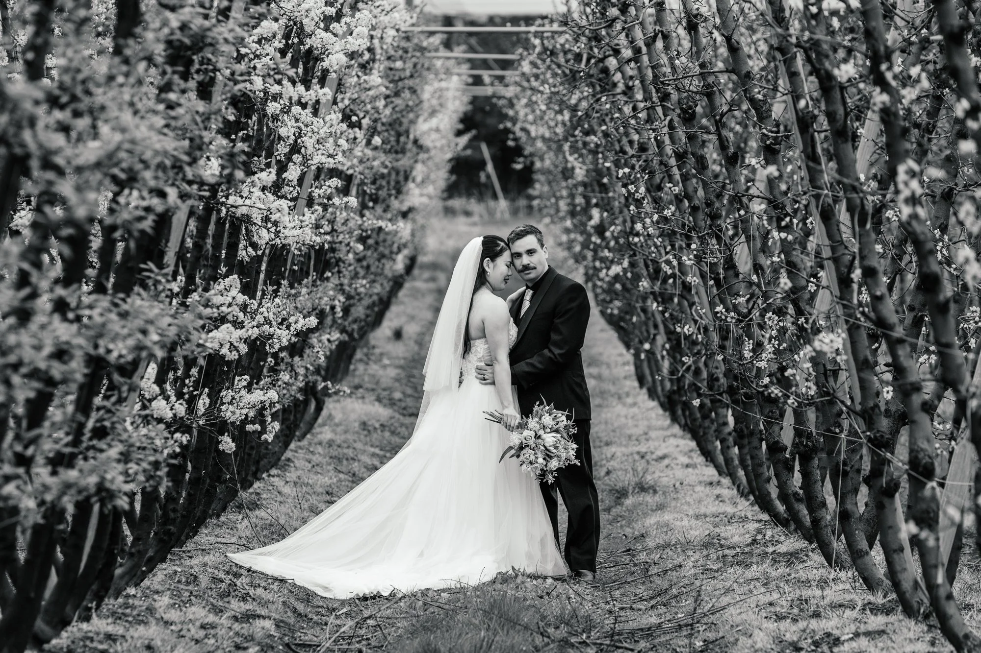 A black and white photograph of a newlywed couple standing in an orchard of blossoming trees. The bride is wearing a white wedding gown with a long train and veil, holding a bouquet of flowers, and leaning her head against the groom. The groom is dre