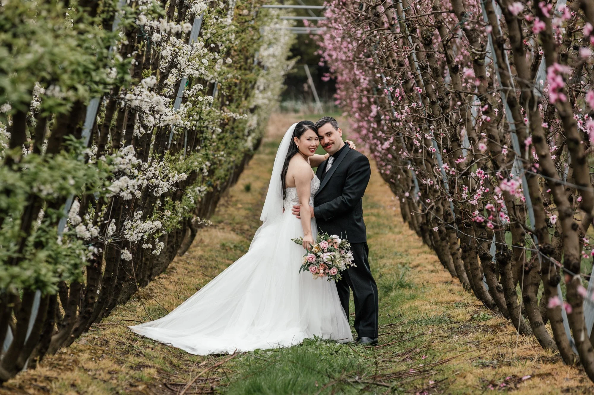 A bride and groom standing close together in a vineyard with blooming pink and white flowers on the trees around them, smiling and embracing.