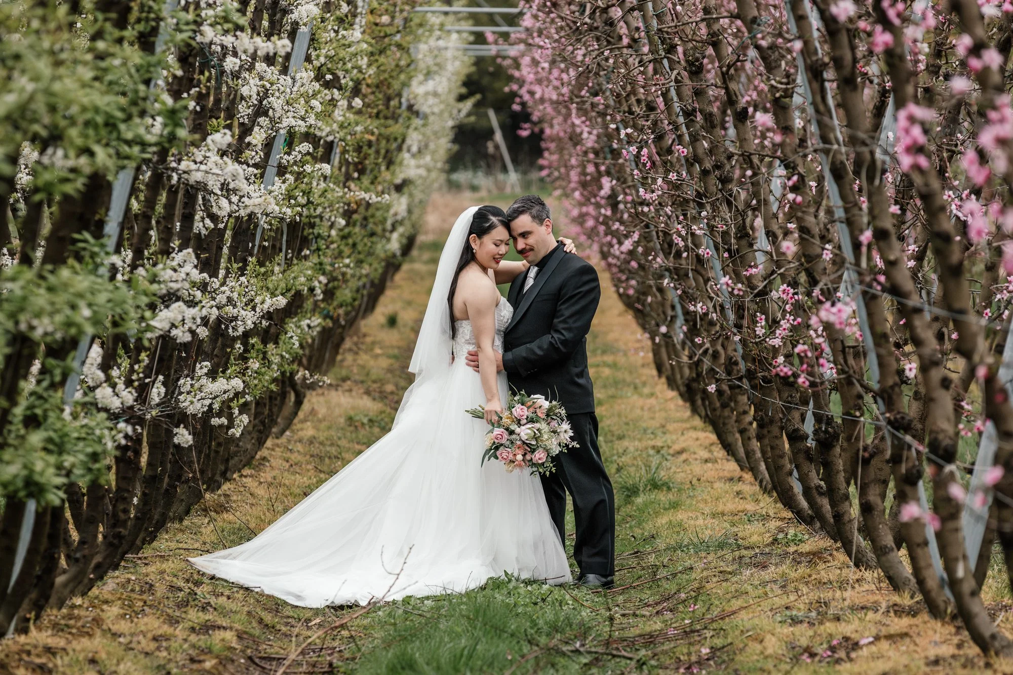 A bride and groom embrace in a flowered orchard, surrounded by rows of blossoming trees with pink and white flowers. The bride holds a bouquet of pink and white roses, and they are both dressed in wedding attire.