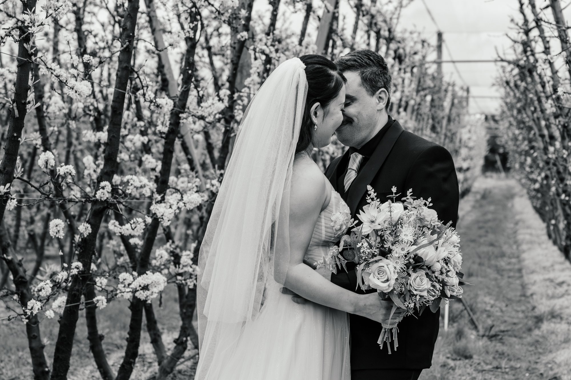 Black-and-white photo of a bride and groom embracing and touching foreheads in an orchard with blooming trees. The bride wears a veil and a gown, holding a bouquet of flowers. The groom is dressed in a dark suit and tie.