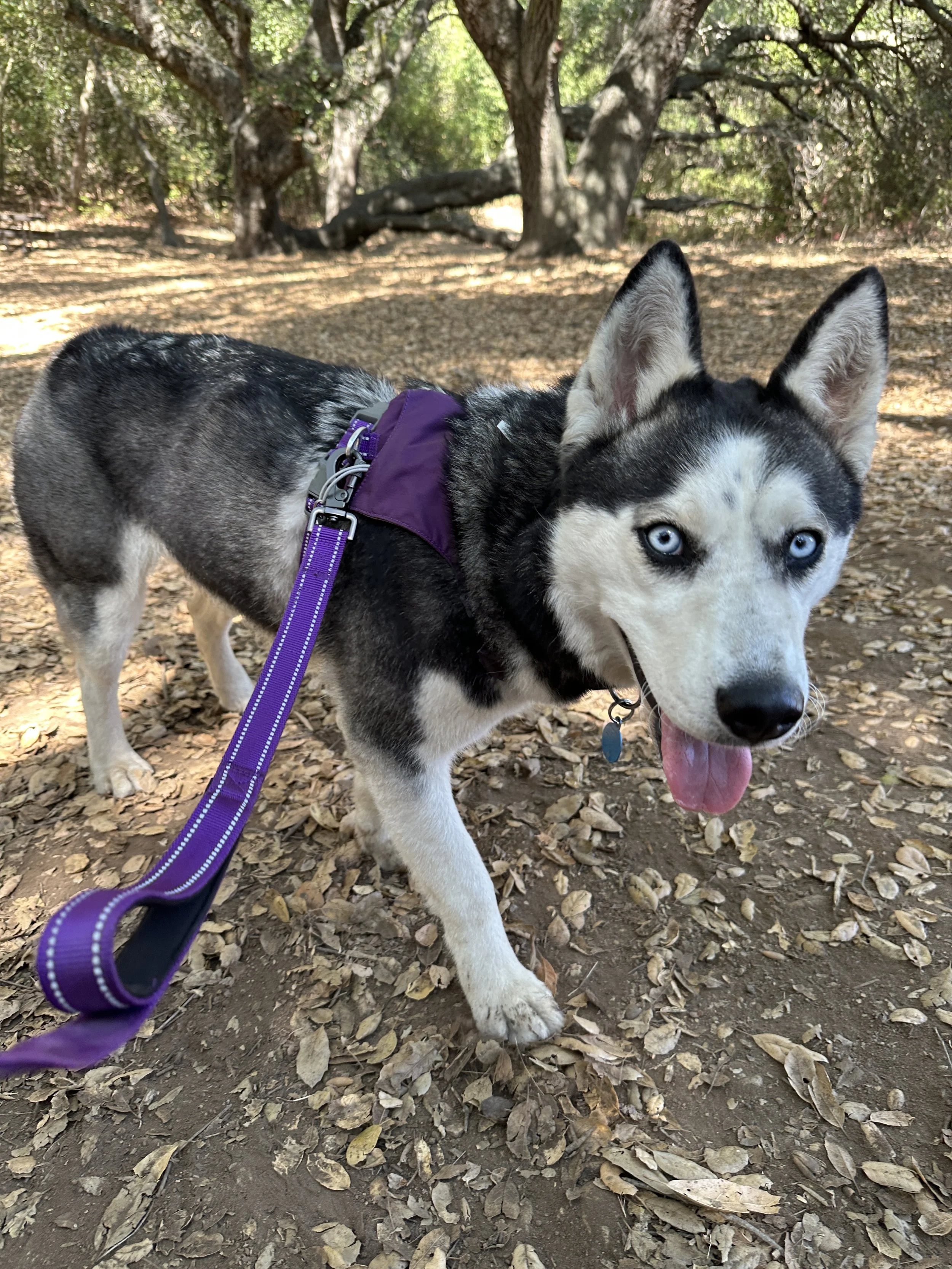 Kira