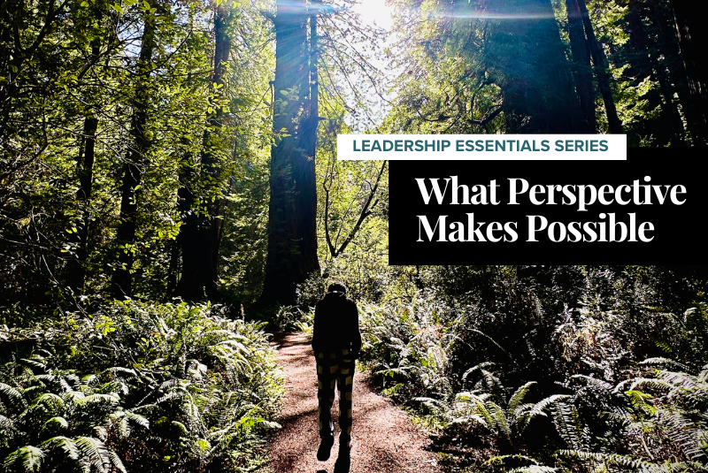 Leadership Essentials: Perspective