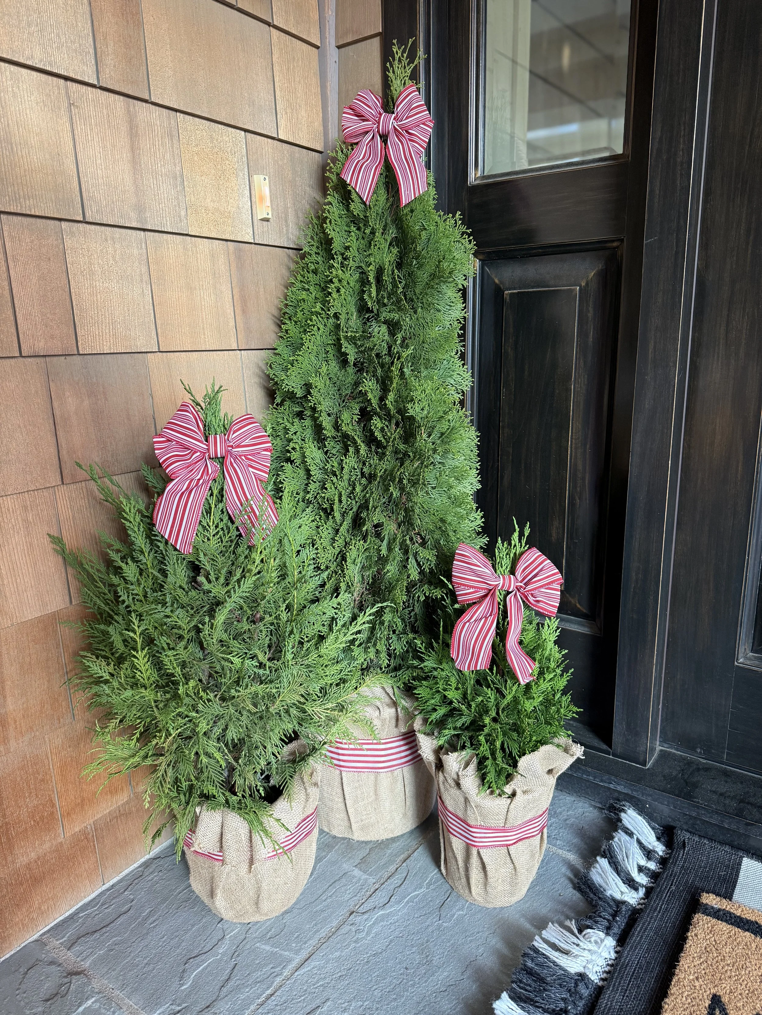 PoP Package - Mini Trees_1.jpeg