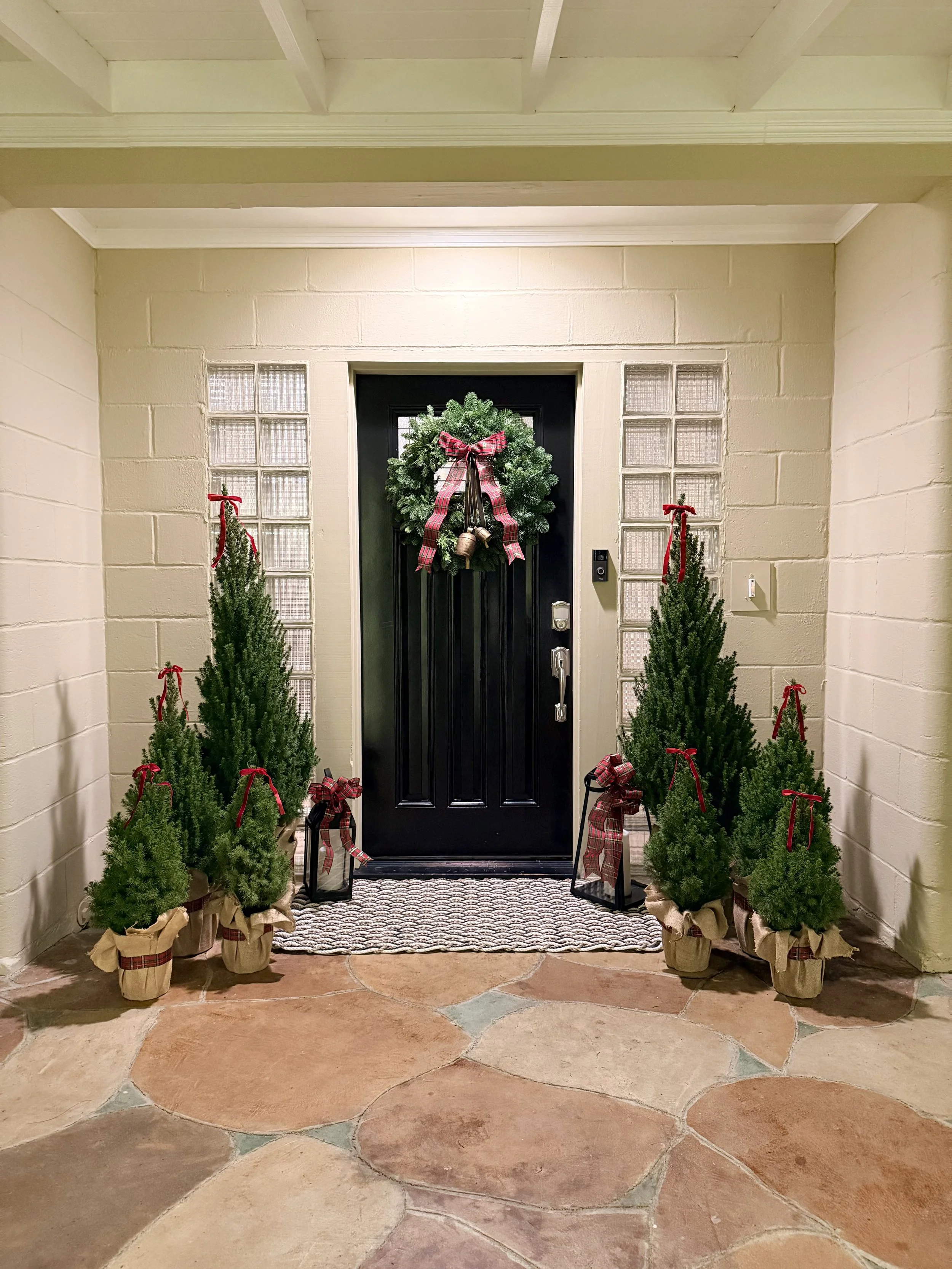 PoP Package - Small+ Trees_3.jpeg