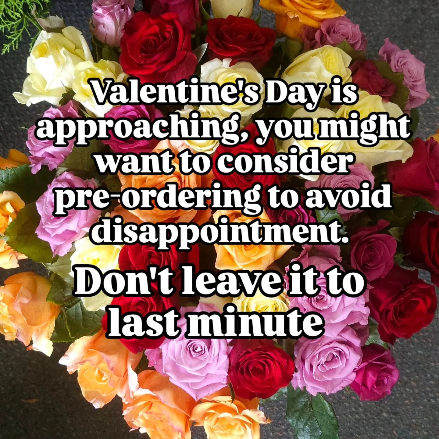 One more month to go to St.Valentine's Day.
Last year I had zero flowers left (not just roses, all the flowers) and some last minute champions, unfortunately, ended up in the doghouse.

Avoid the doghouse in 2026 and pre-order flowers as soon as poss