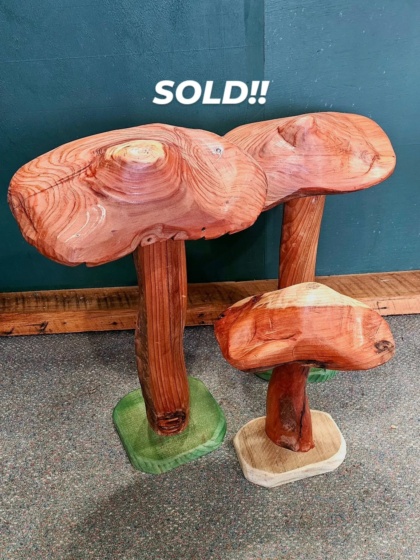 Some love the hand-crafted mushrooms more than others, these beauties are off to Kāpiti next weekend!

Don't sleep on them too long or you will be missing out!