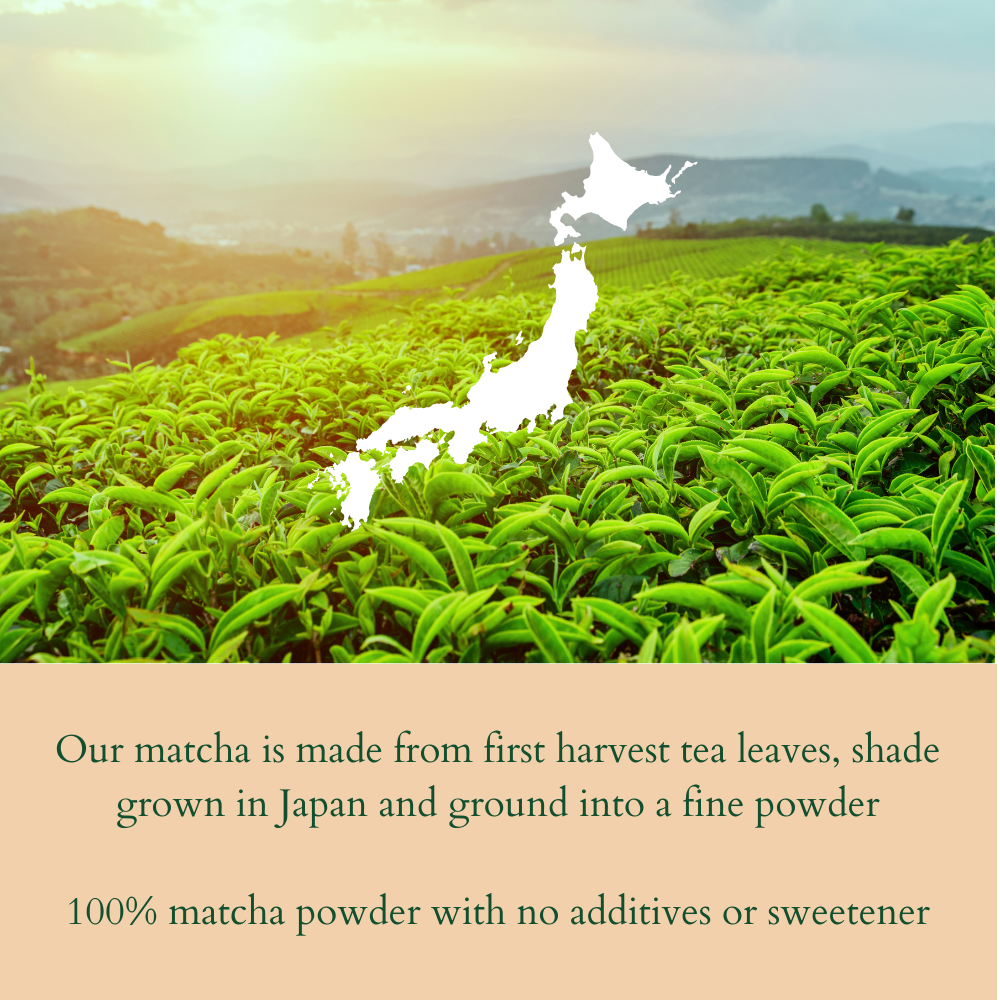 Serving Size 20 servings 1.41ounces  40grams 1 teaspoon is 2 grams per serving (8).png