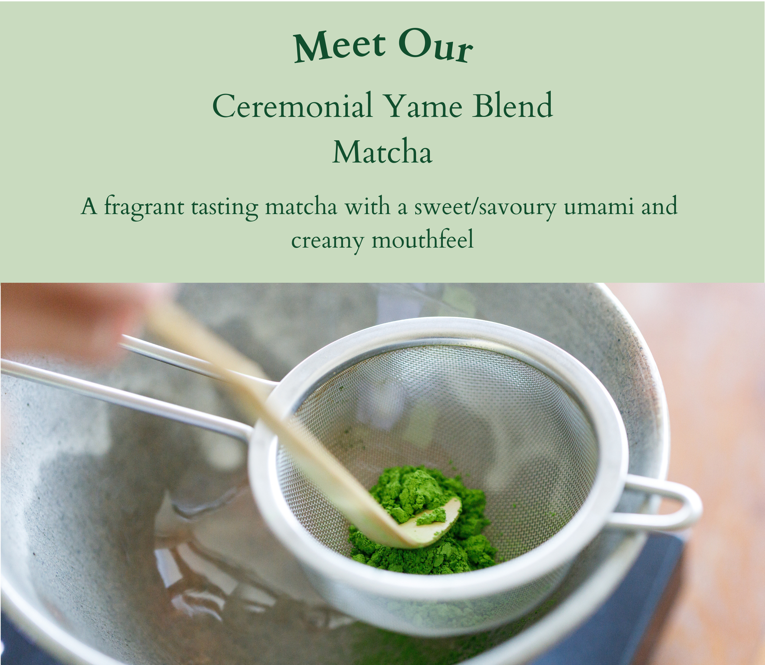 A versatile, beginner friendly matcha (5).png
