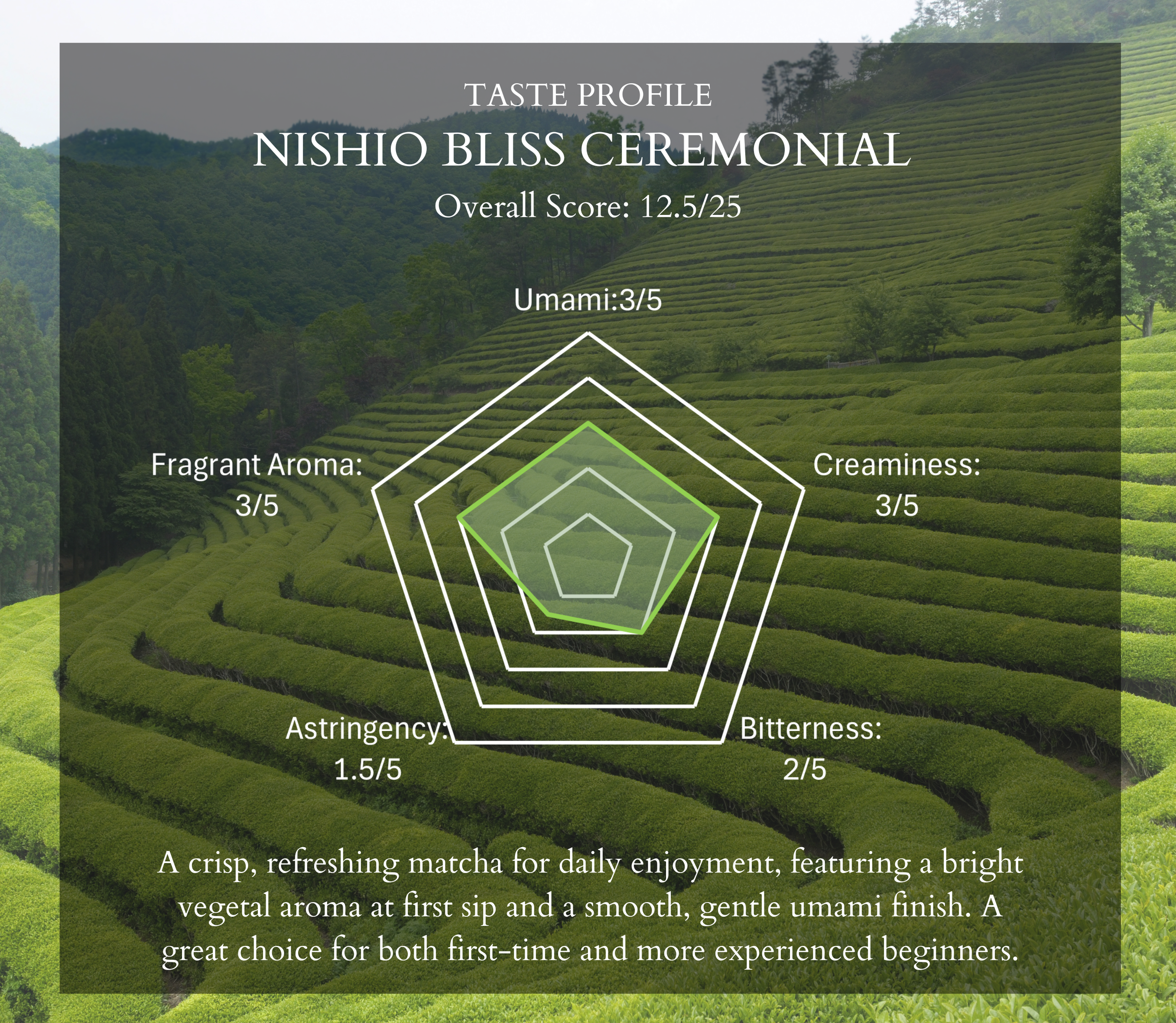 A versatile, beginner friendly matcha (22).png