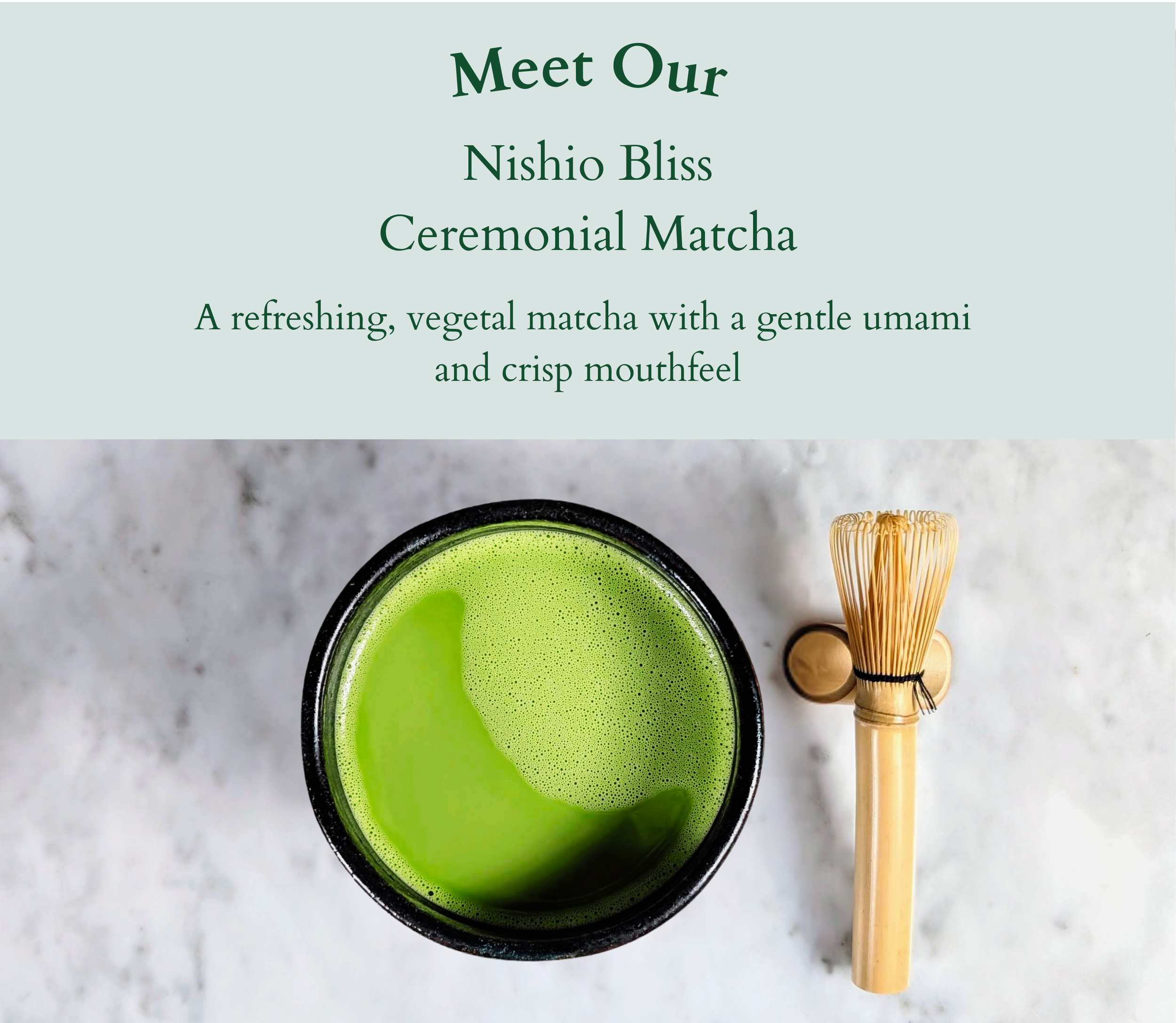 A versatile, beginner friendly matcha (14).png