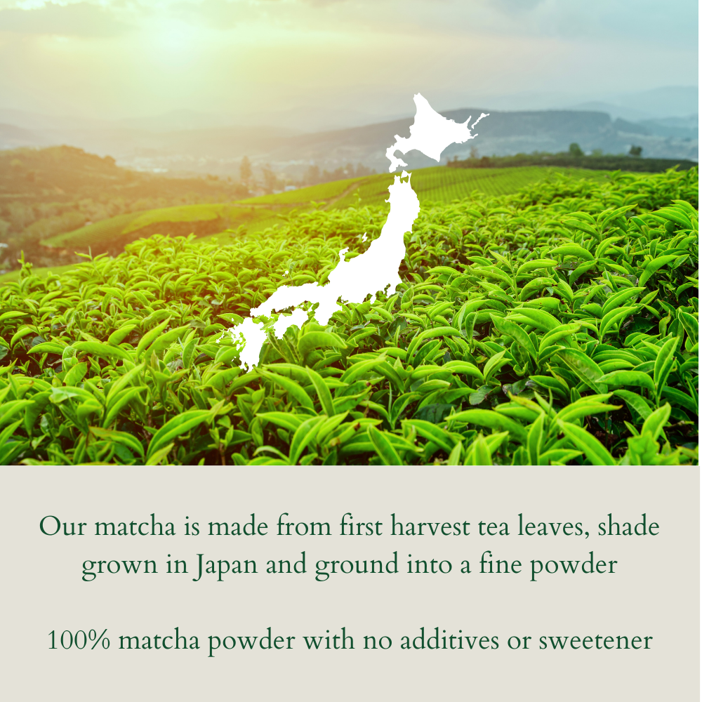 Serving Size 20 servings 1.41ounces  40grams 1 teaspoon is 2 grams per serving (10).png