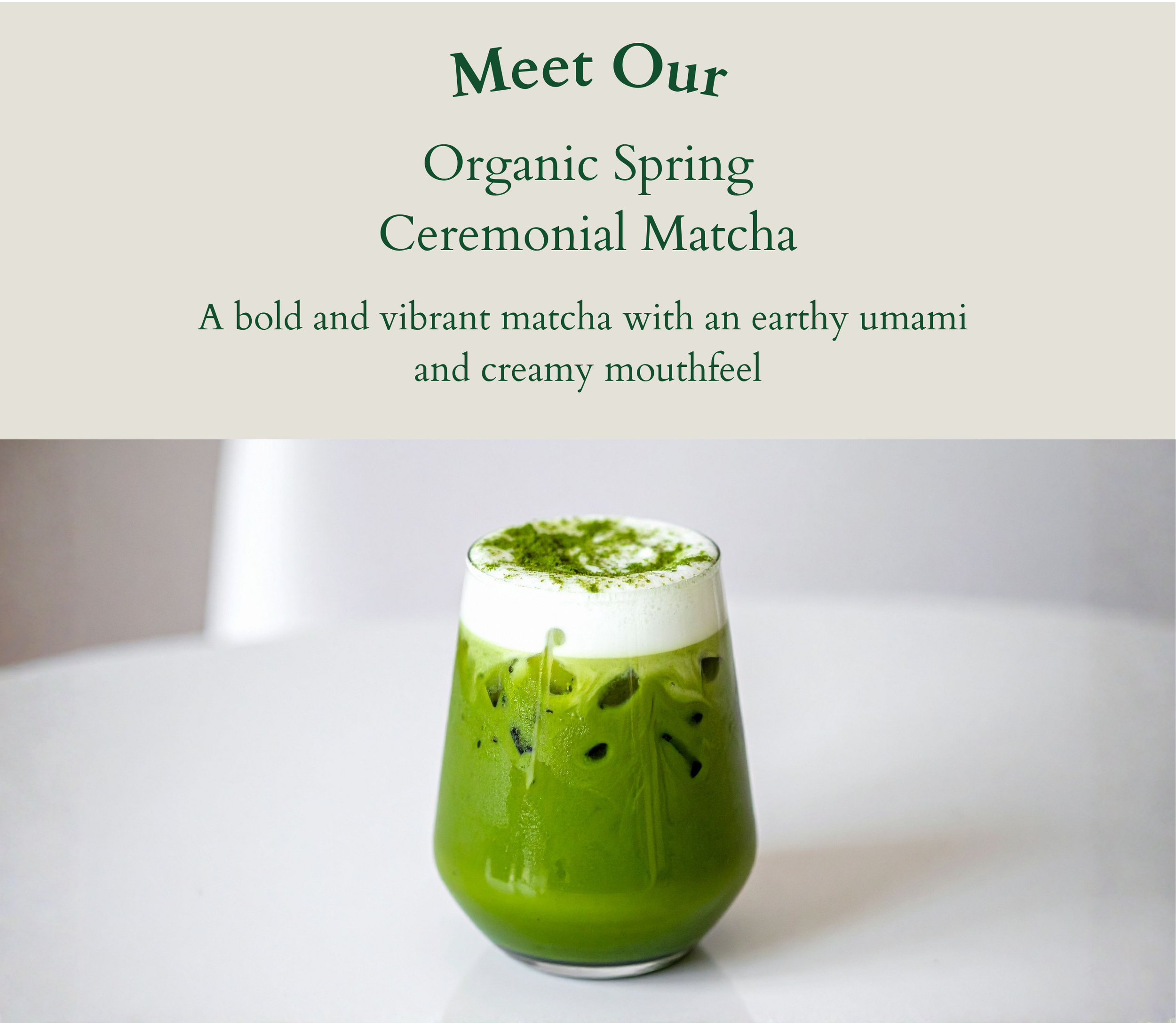 A versatile, beginner friendly matcha (51).png