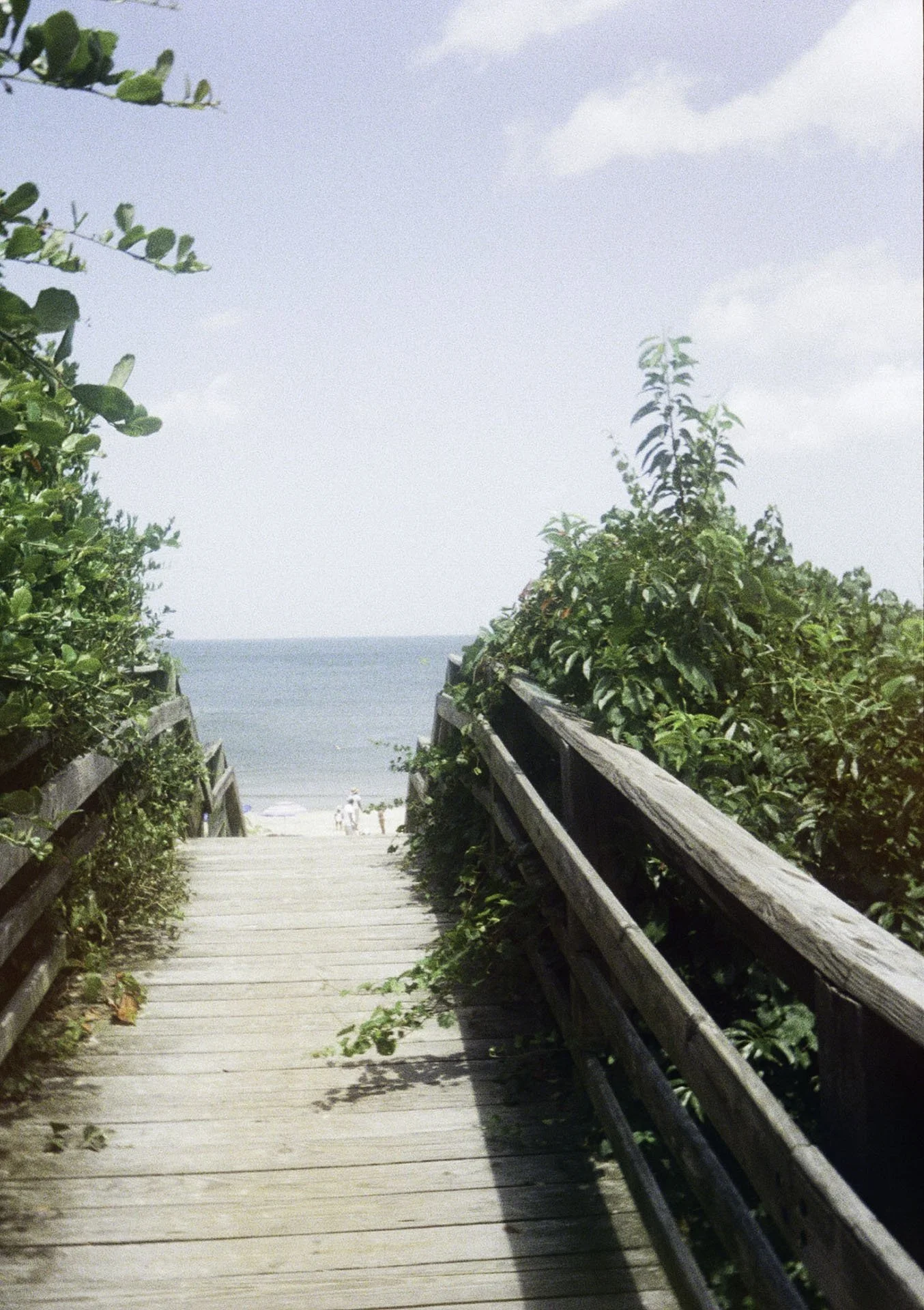 Landscapes 4.jpg
