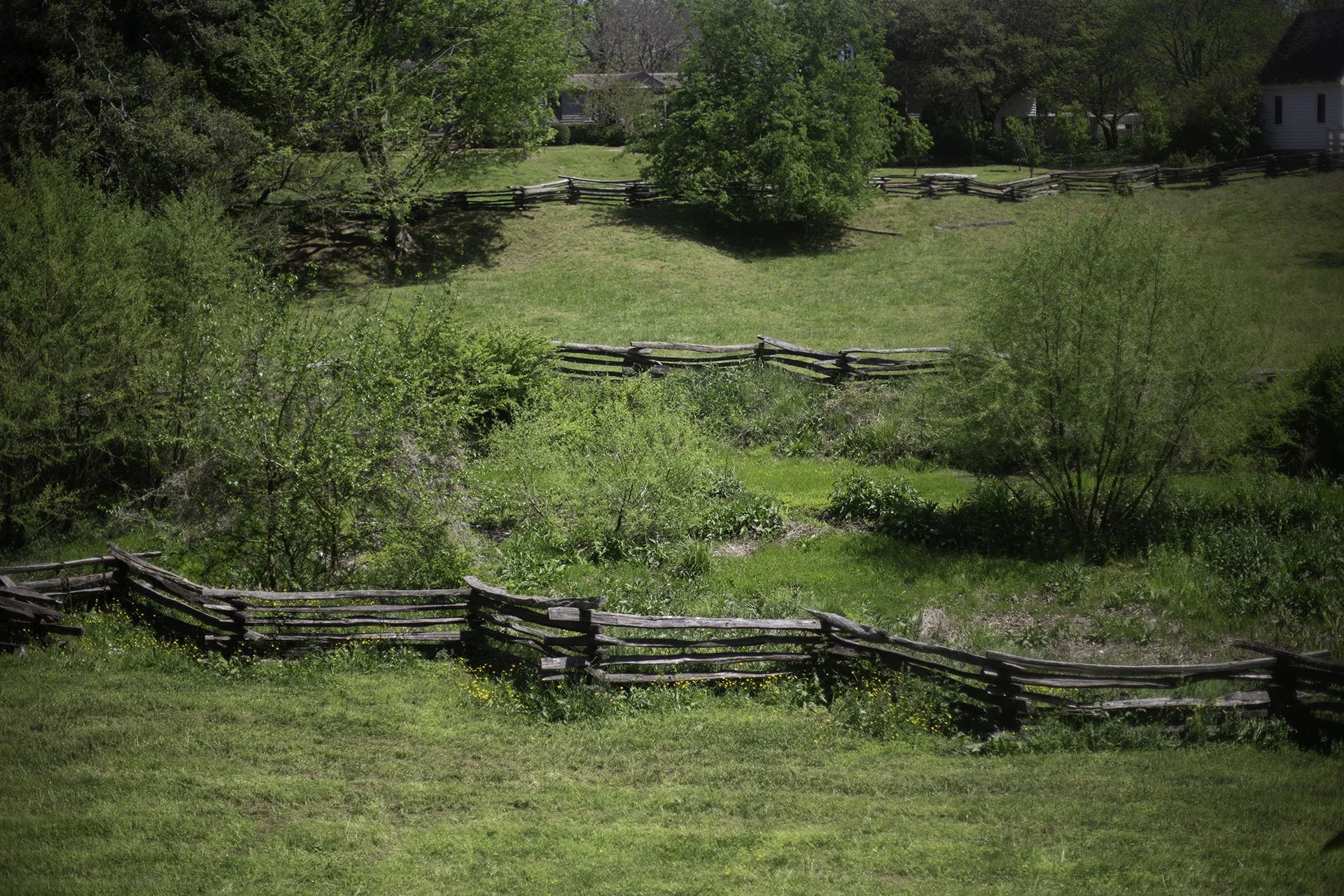 Landscapes 1.jpg