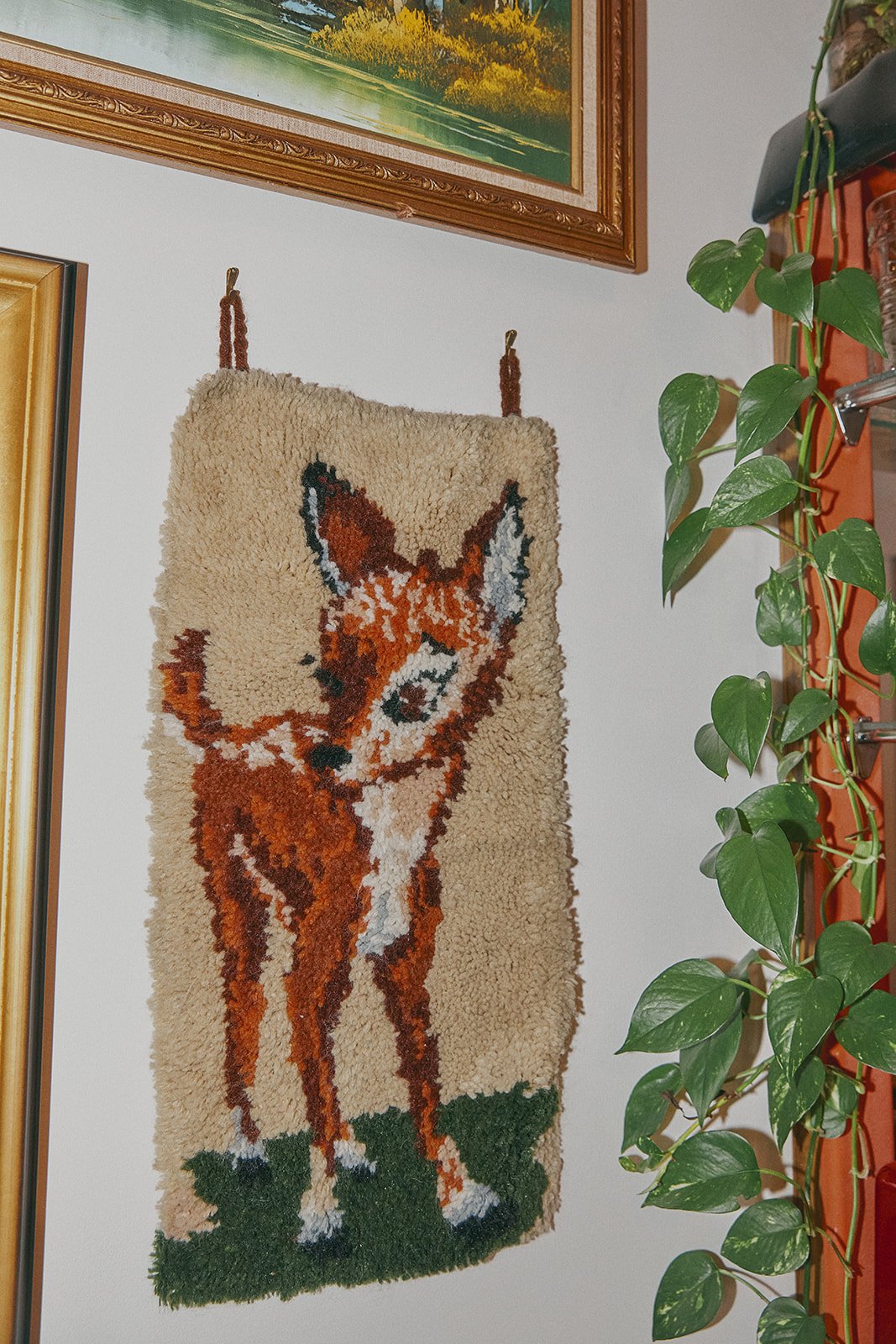Shag_Manor_0423.jpg