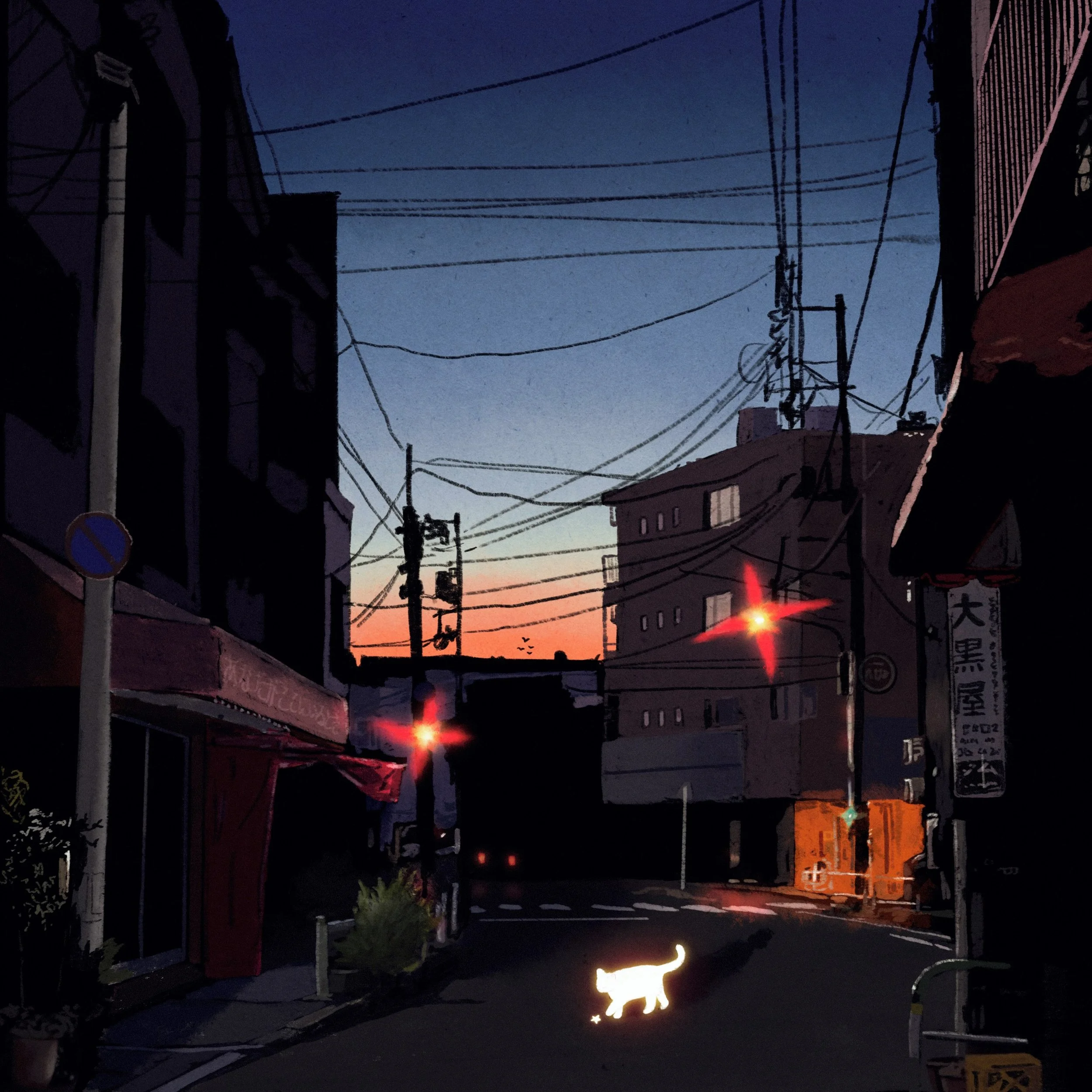 Night Cat