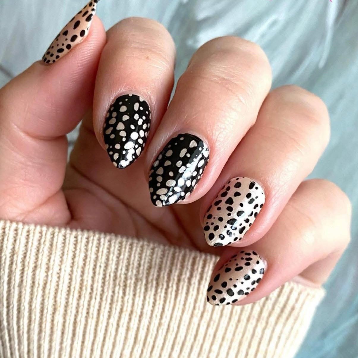 Cheetah Spots