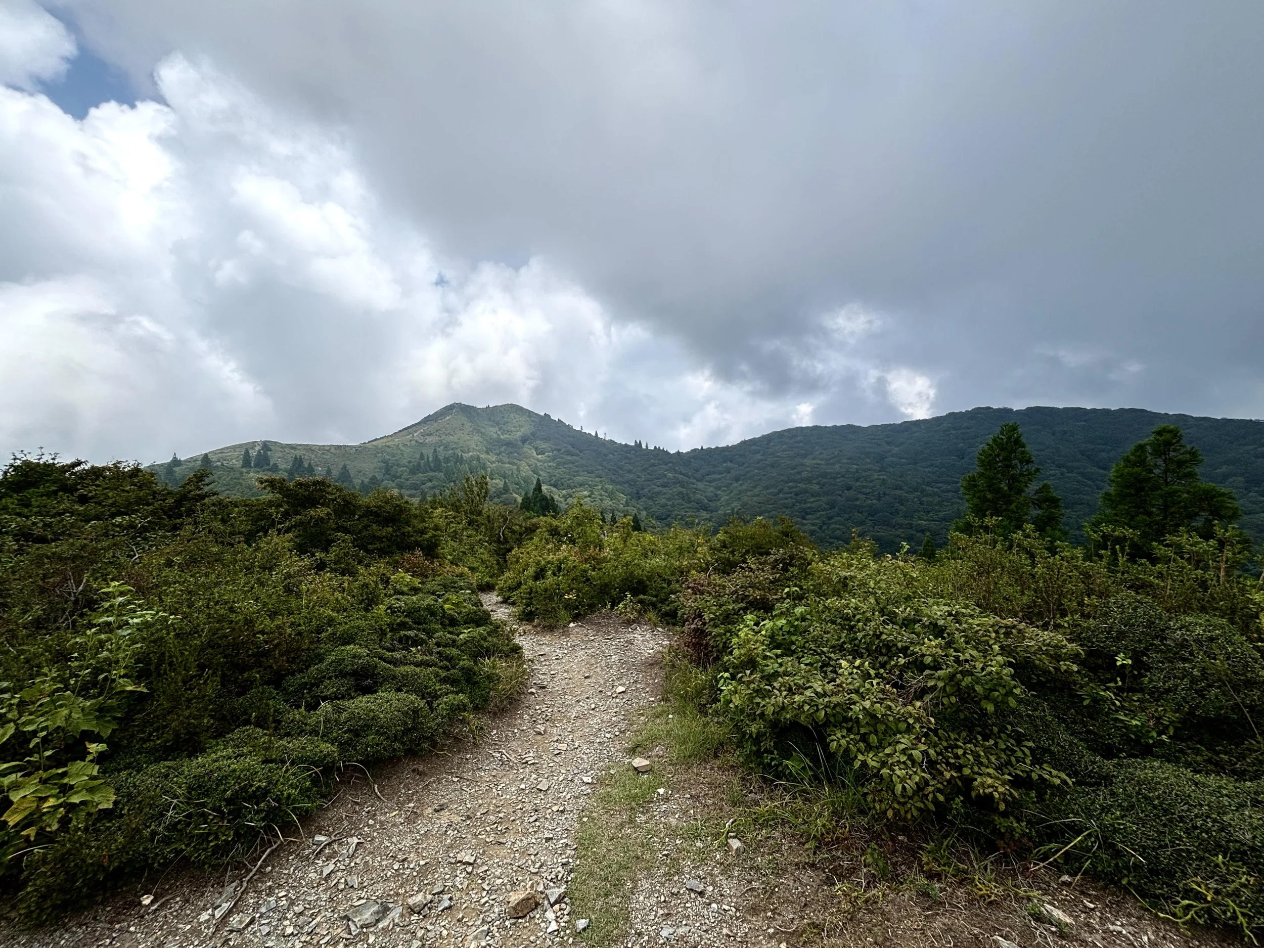 Surviving Mt. Bunagatake: Shiga’s Most Challenging Hike