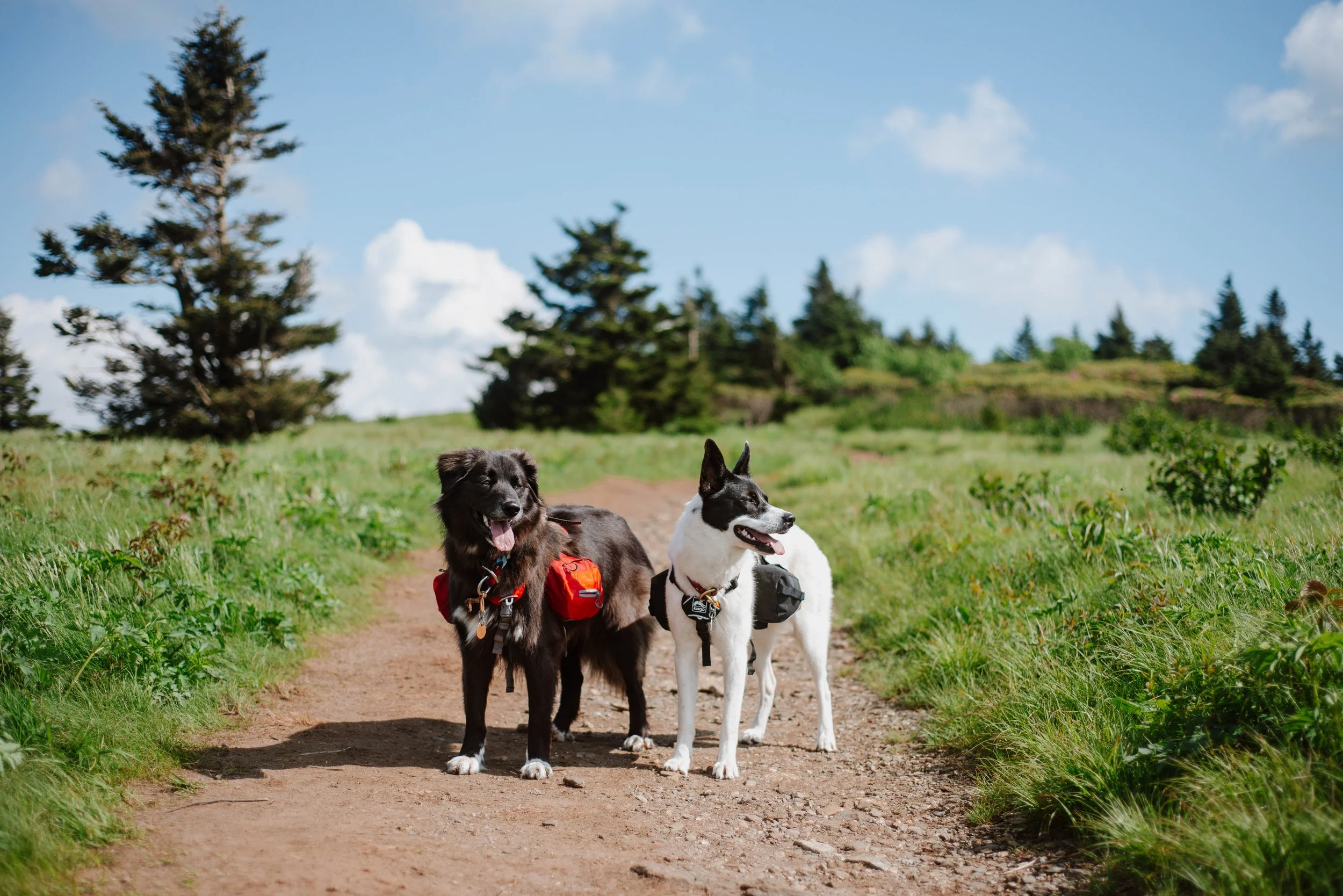 Photo Jun 20, 2 10 38 PM.jpg