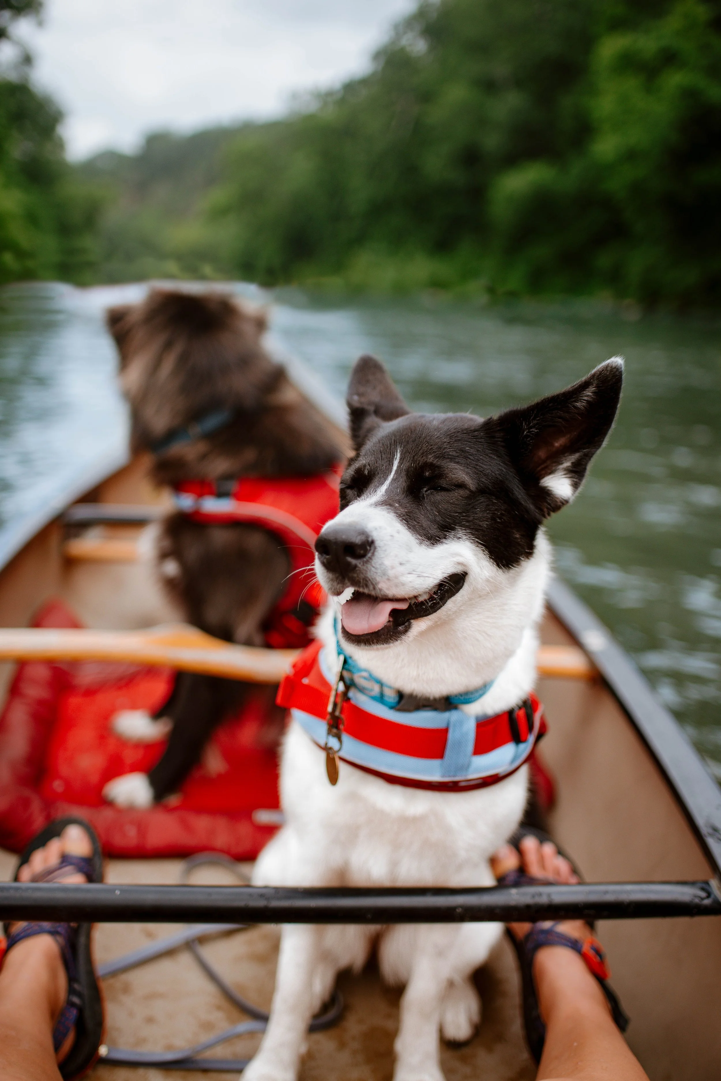 Photo Jun 28, 8 48 48 AM.jpg