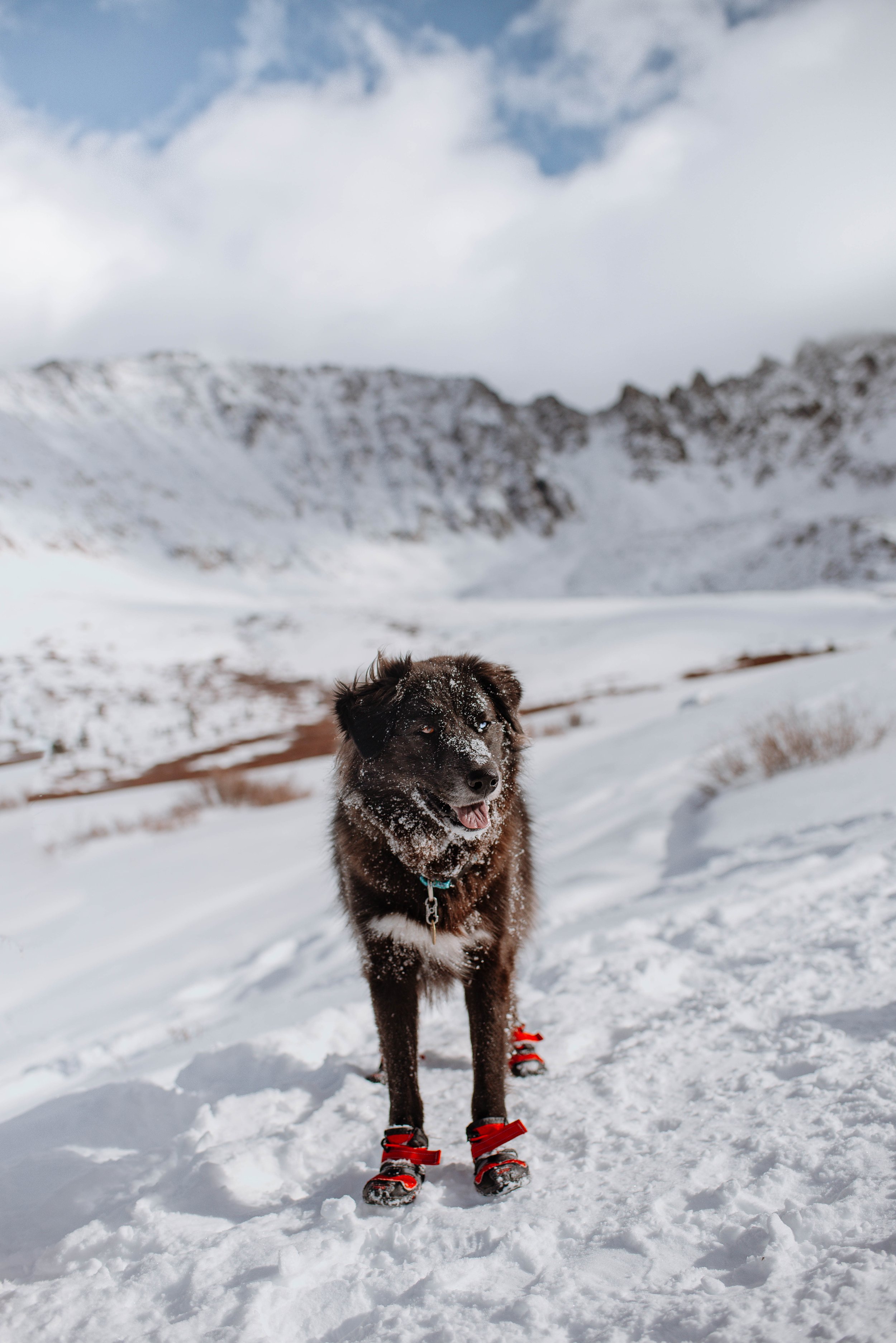 Photo Dec 19, 12 06 49 PM.jpg