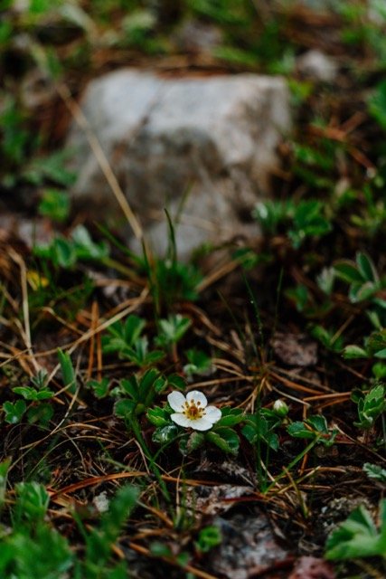 _JC40266 Medium.jpeg