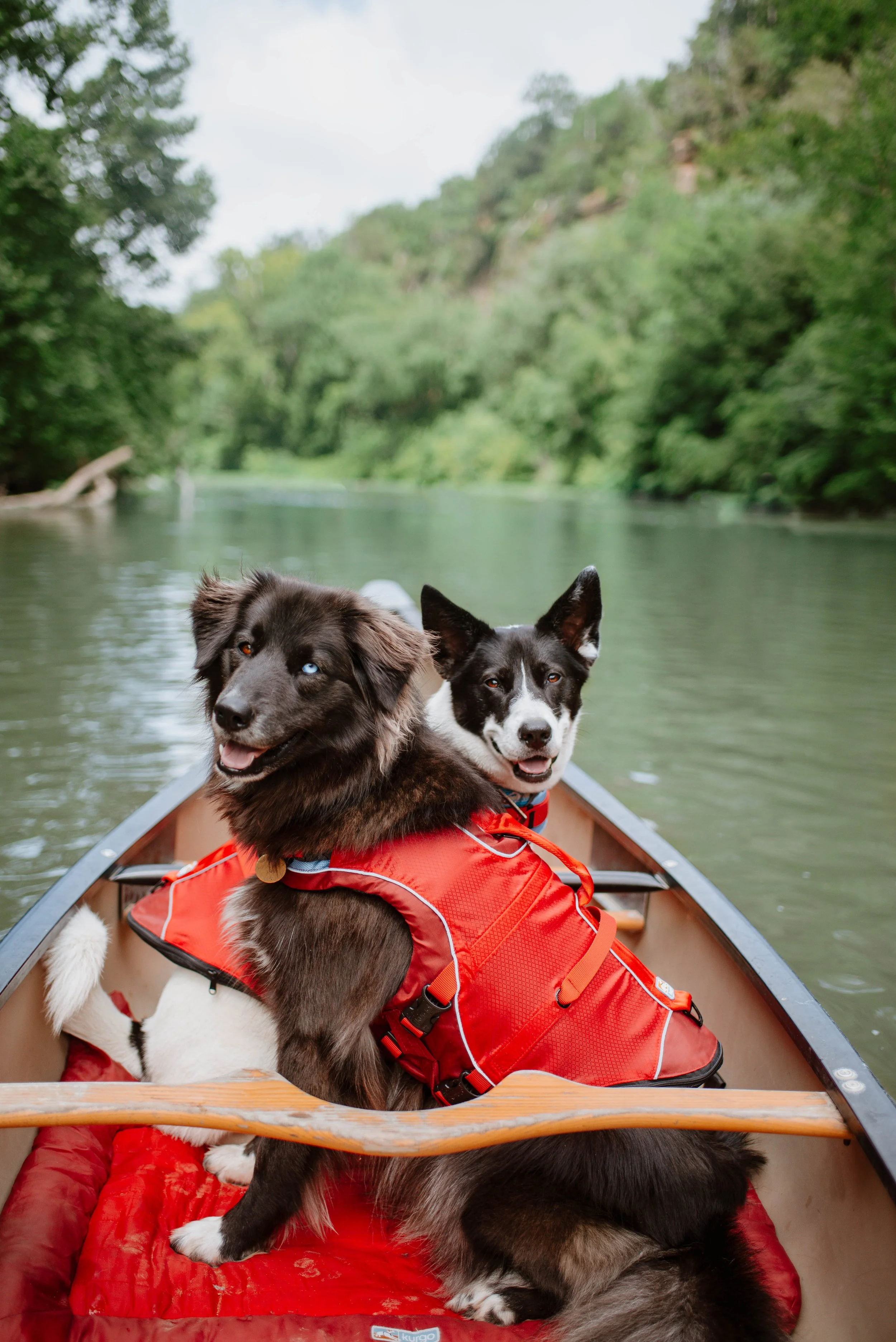 Photo Jun 28, 8 54 25 AM.jpg