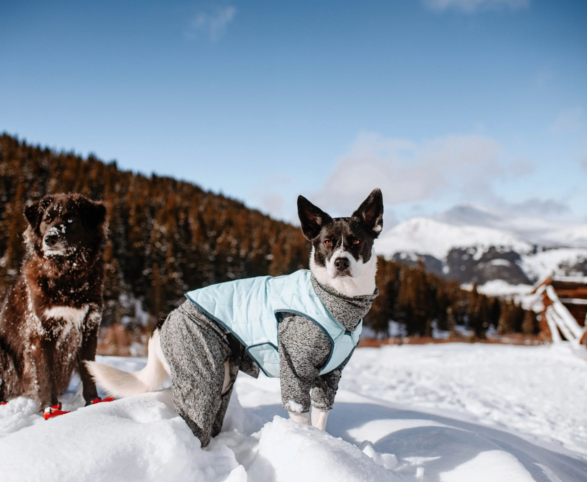 Photo Dec 19, 1 12 20 PM.jpg