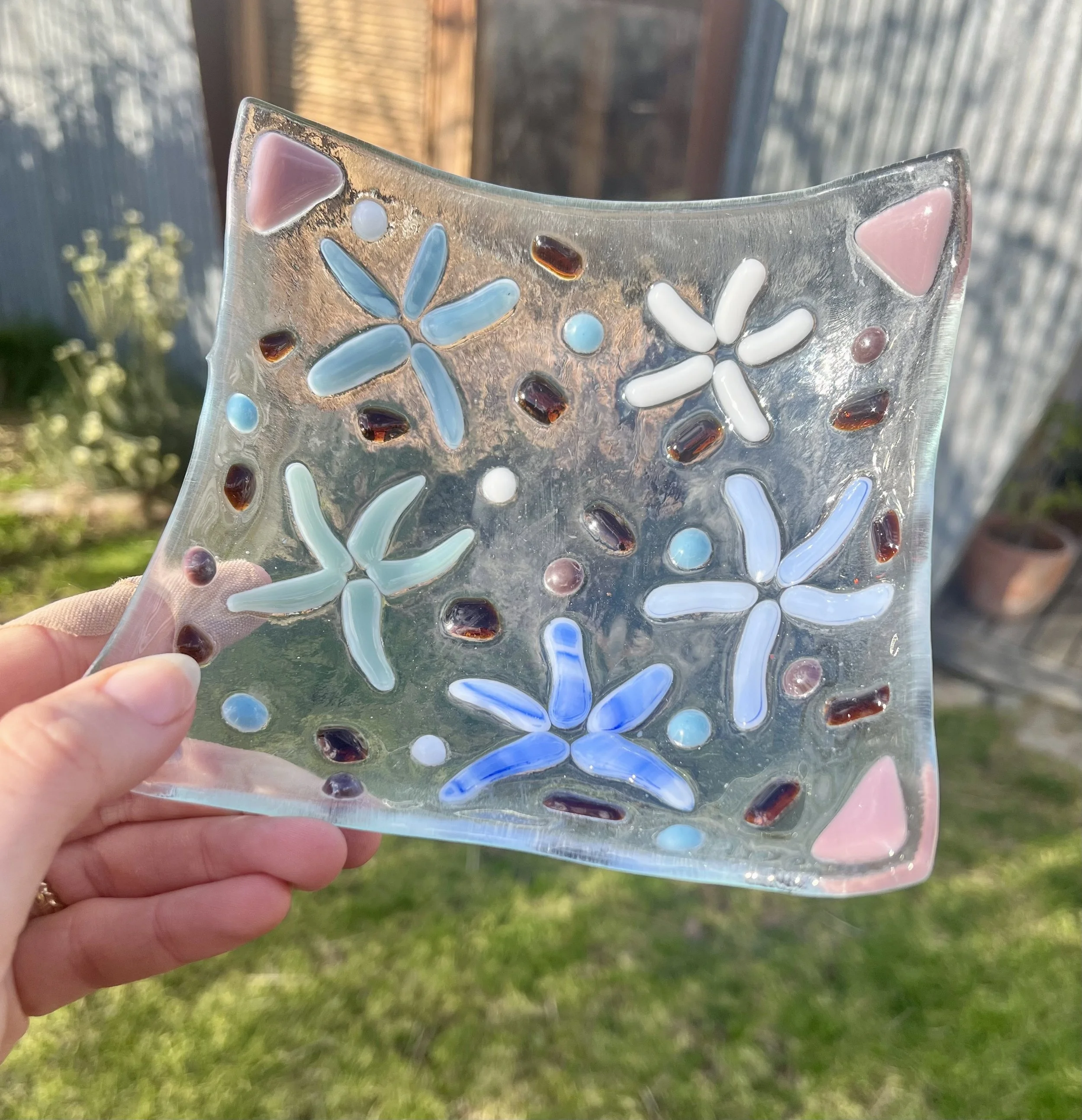 Starfish Dish (Medium)