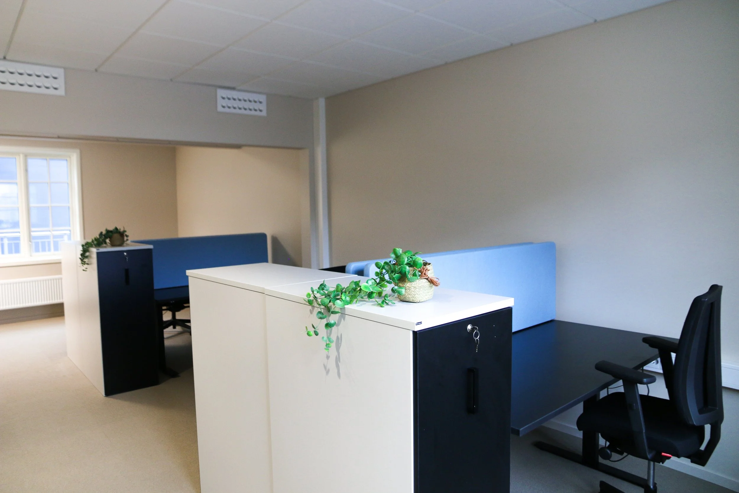 Et kontor med hvite skrivebord, en blå sofa, noen planter, og en stol, med vindu og radiatoren i bakgrunnen.