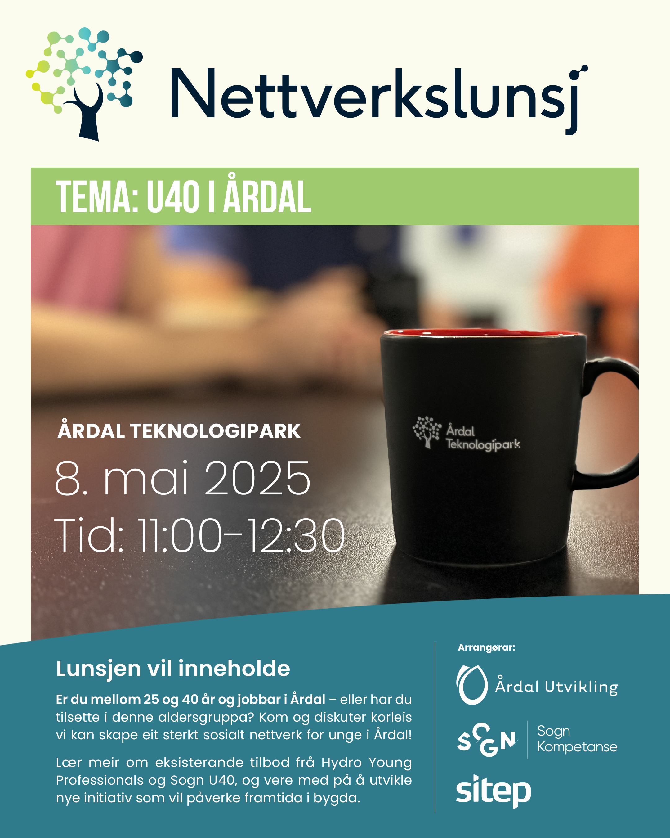 Nettverkslunsj - U40 i Årdal