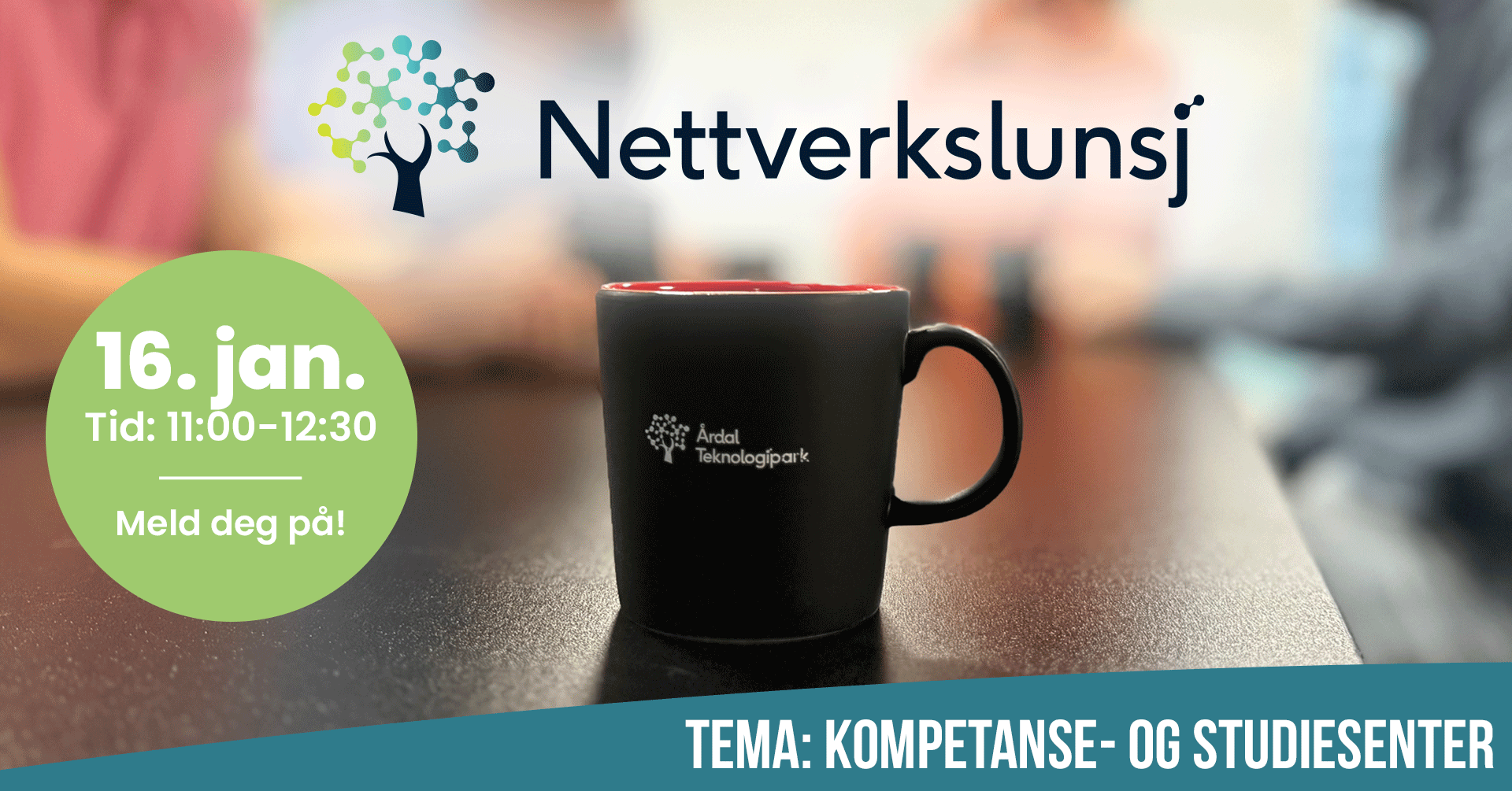 Nettverkslunsj tema: Kompetanse- og studiesenter