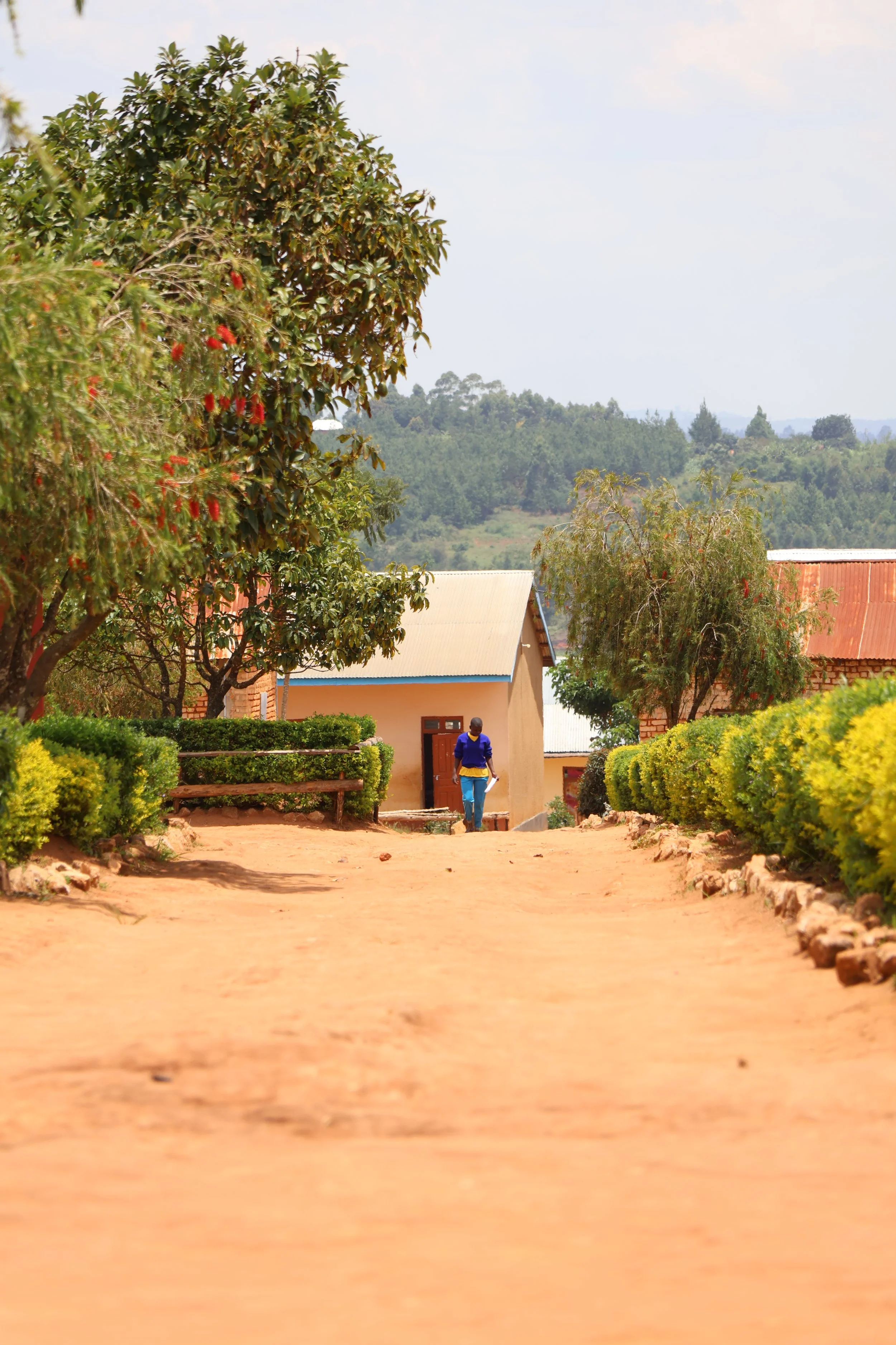  A sunny day at school 