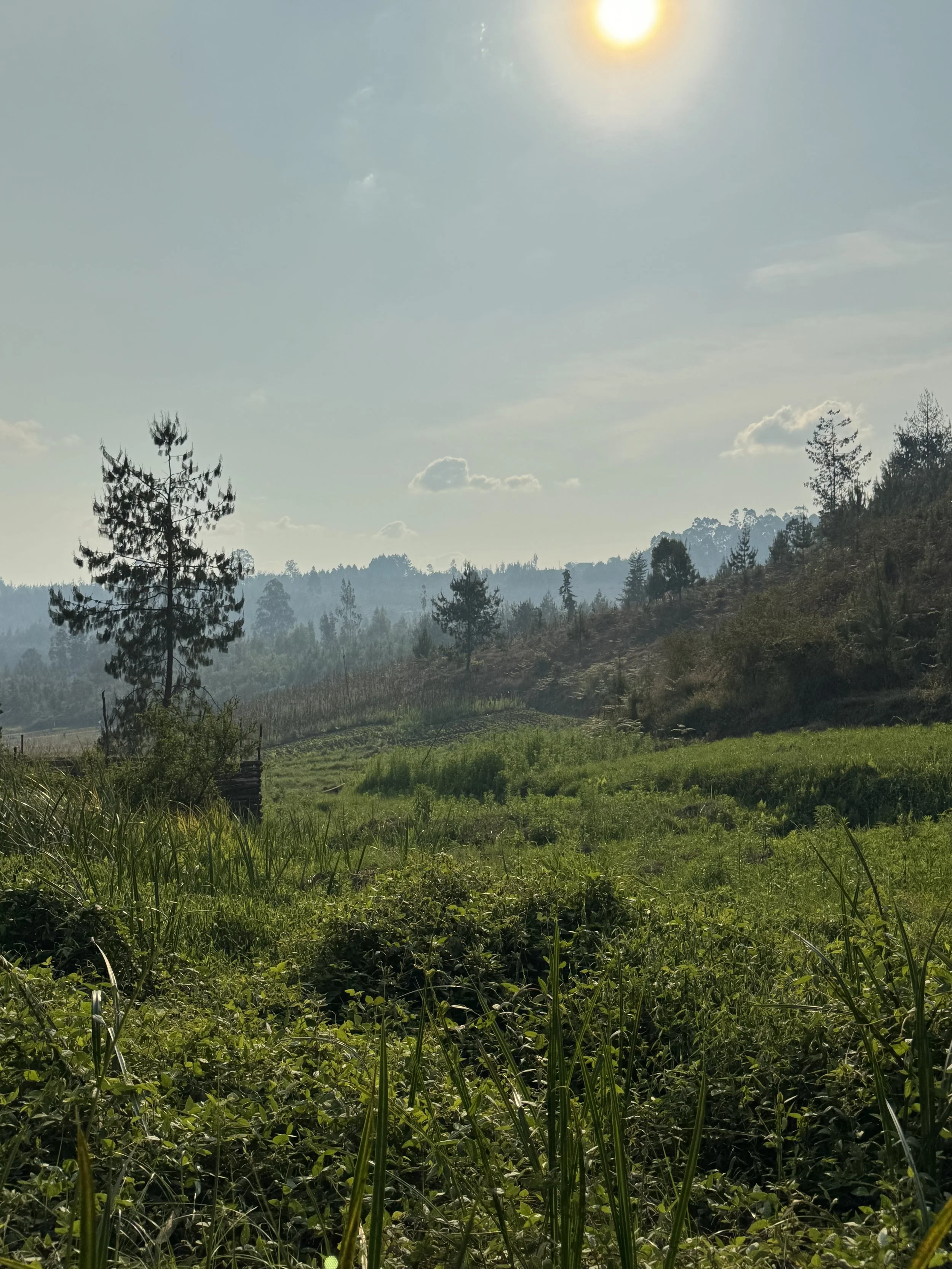  Verdant valley in Njombe 