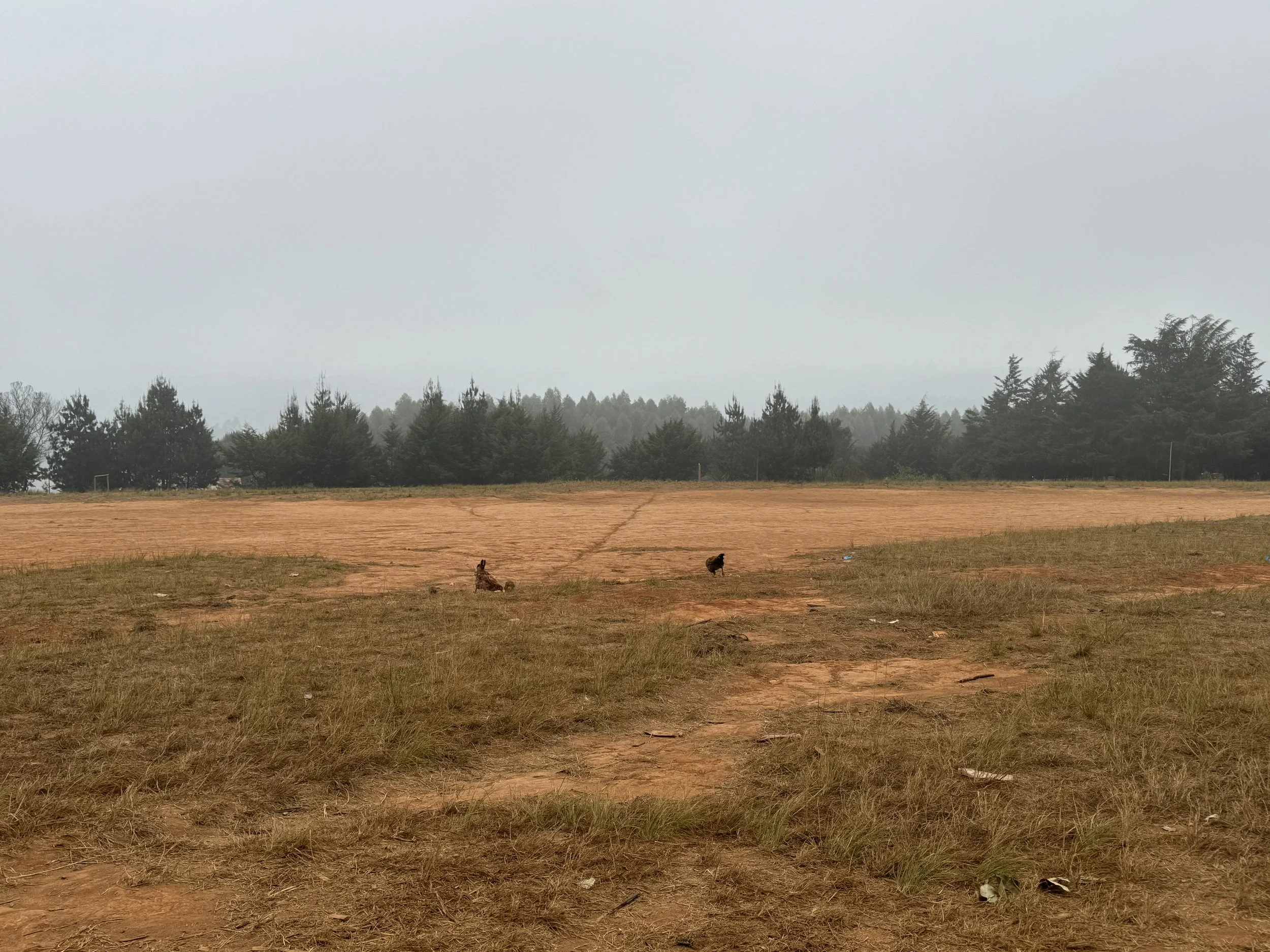  My school’s soccer field 