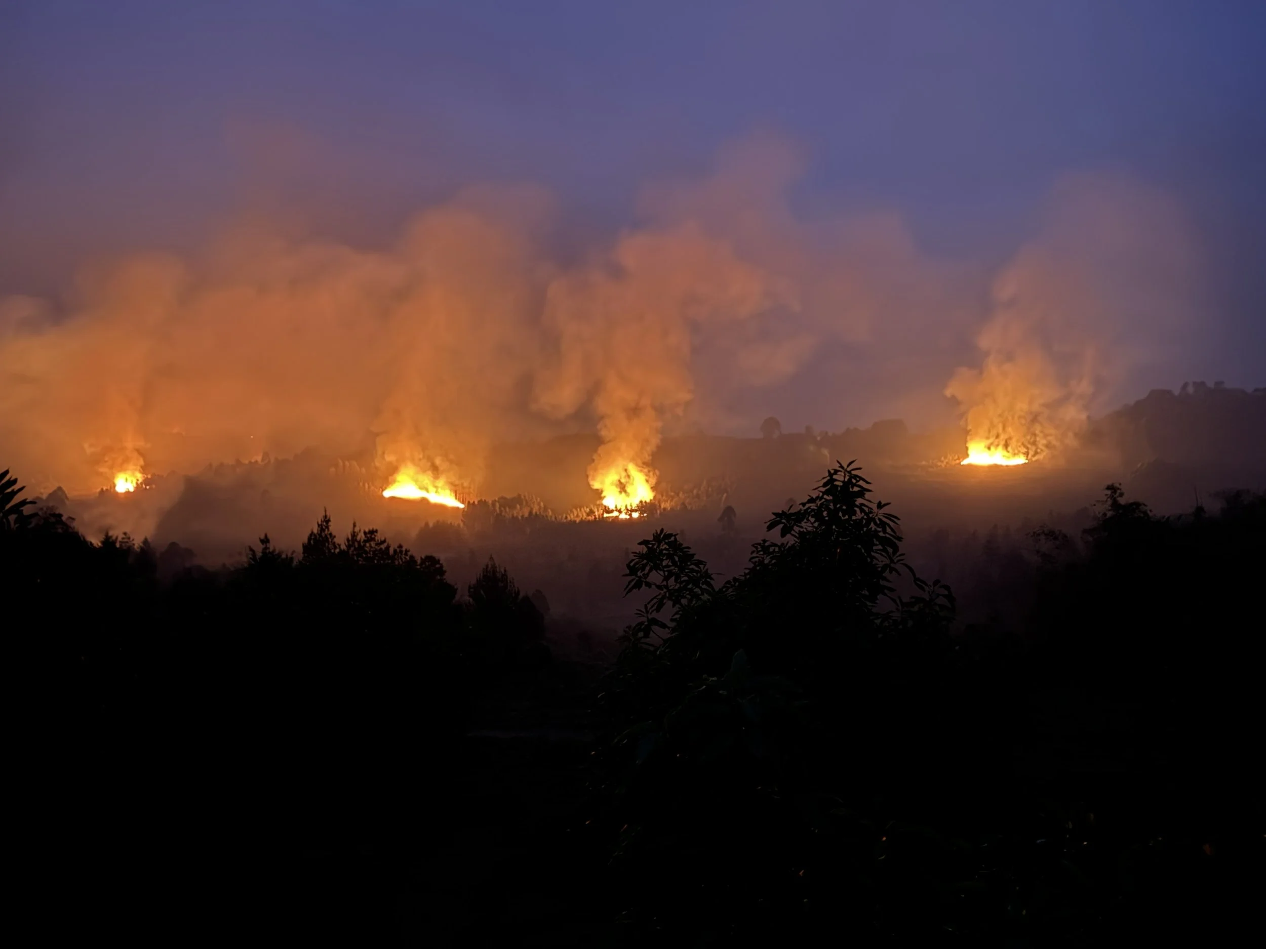  “Controlled” fires 