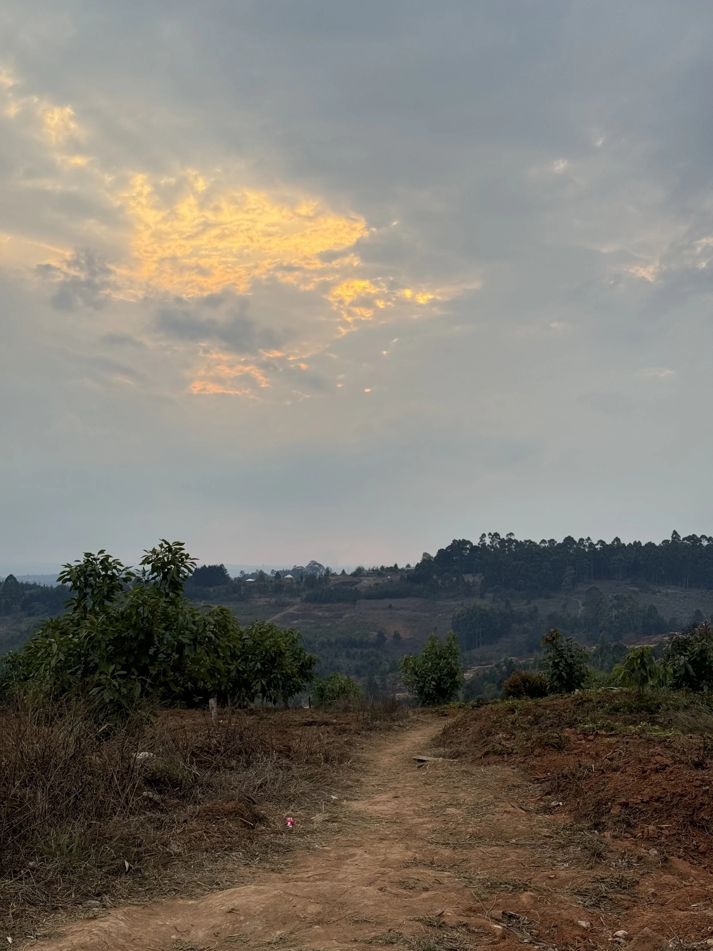  A wandering path in my village 