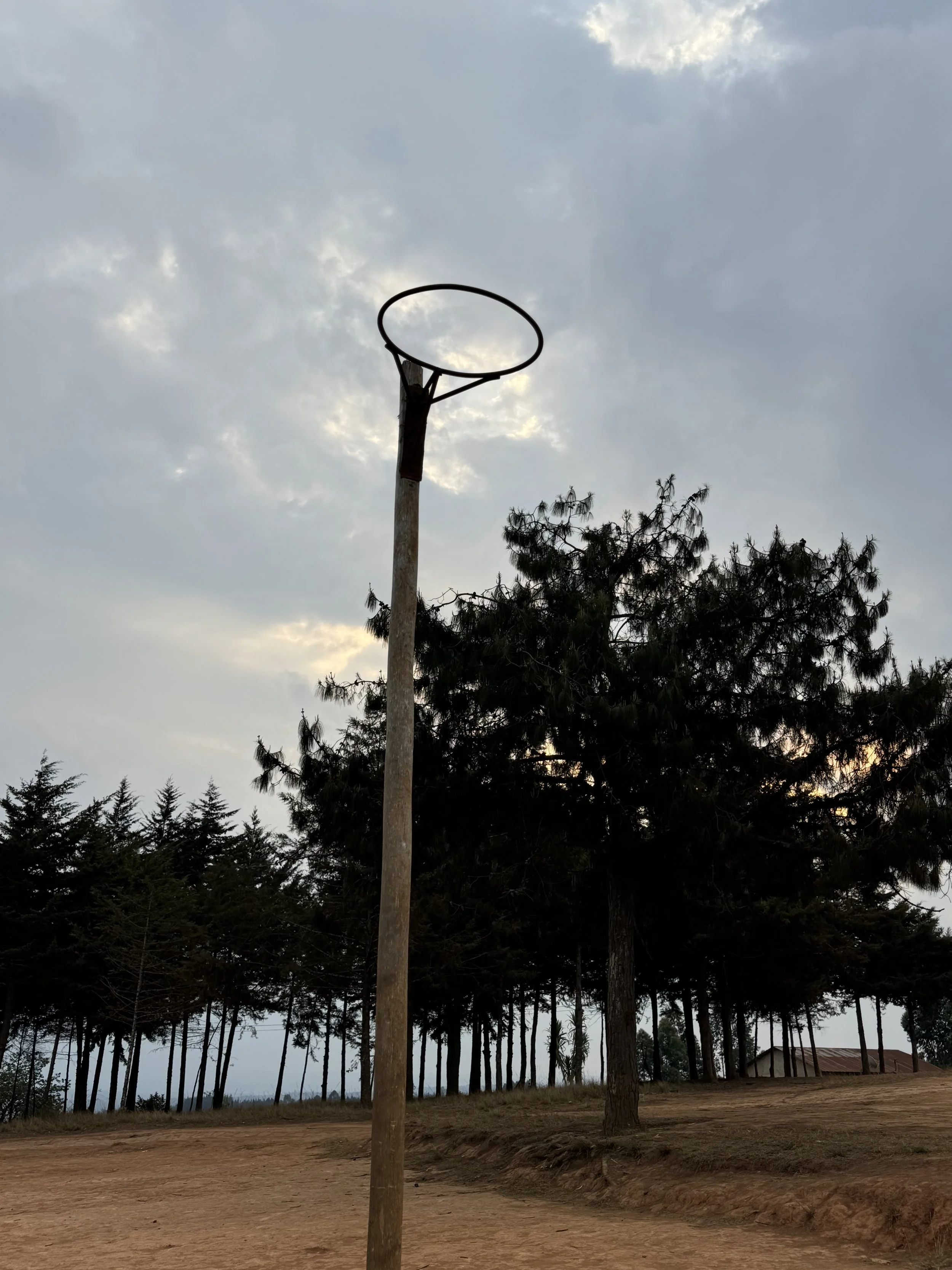  The school basketball court 