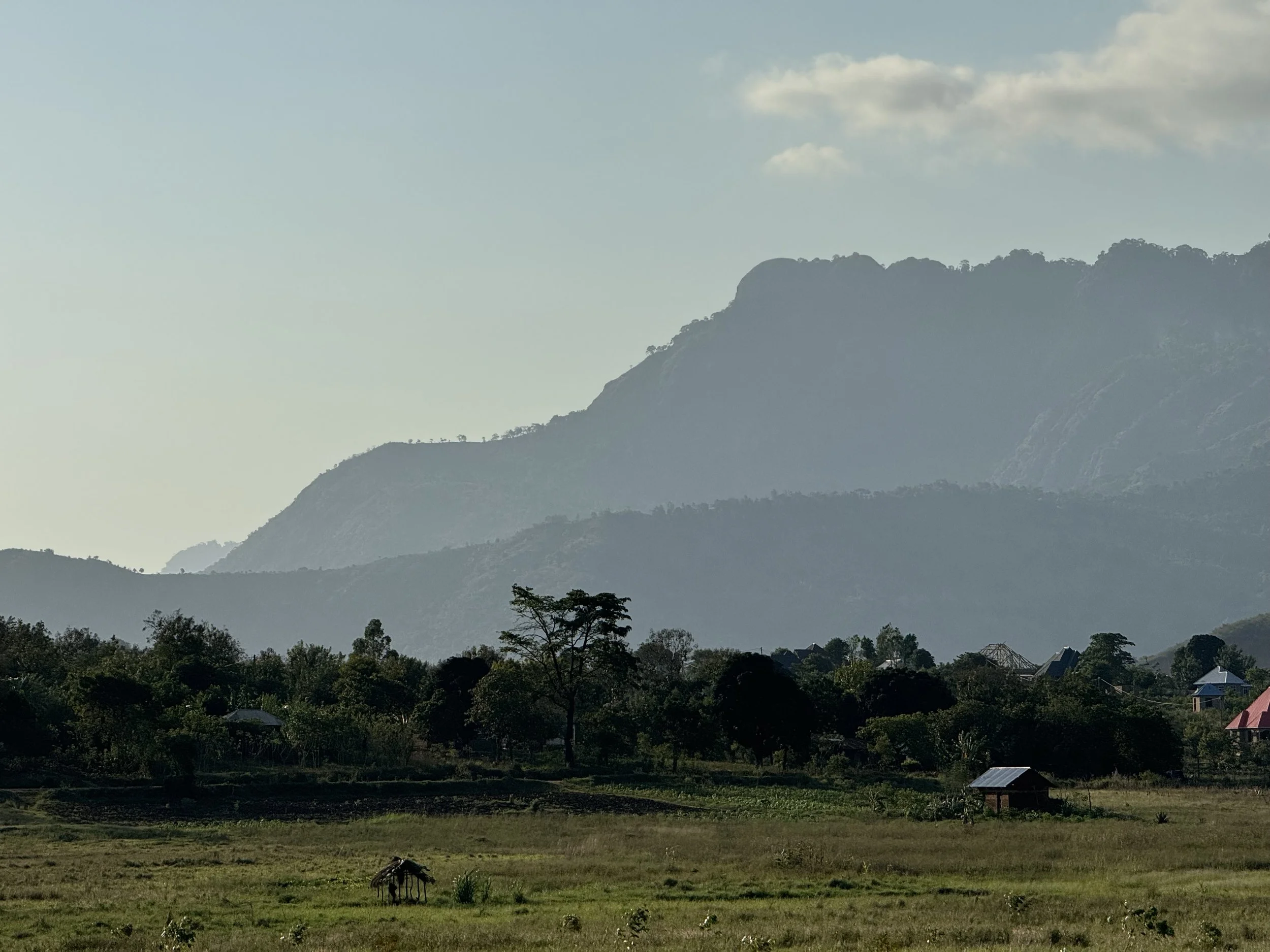  Mashindei from afar 