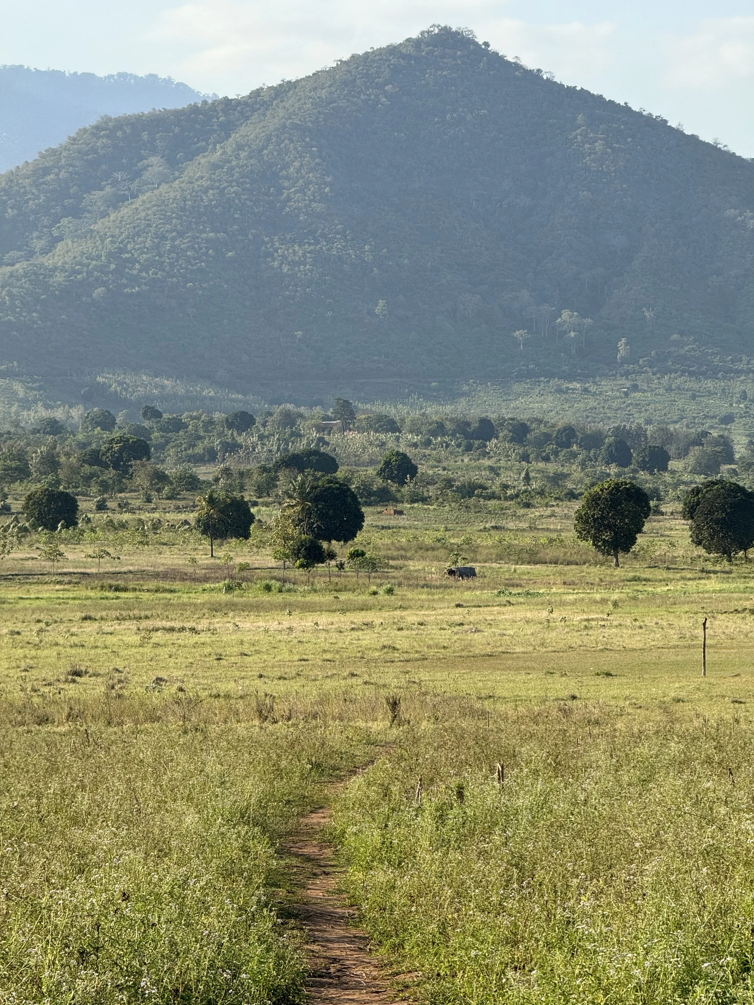  Paths around Korogwe 
