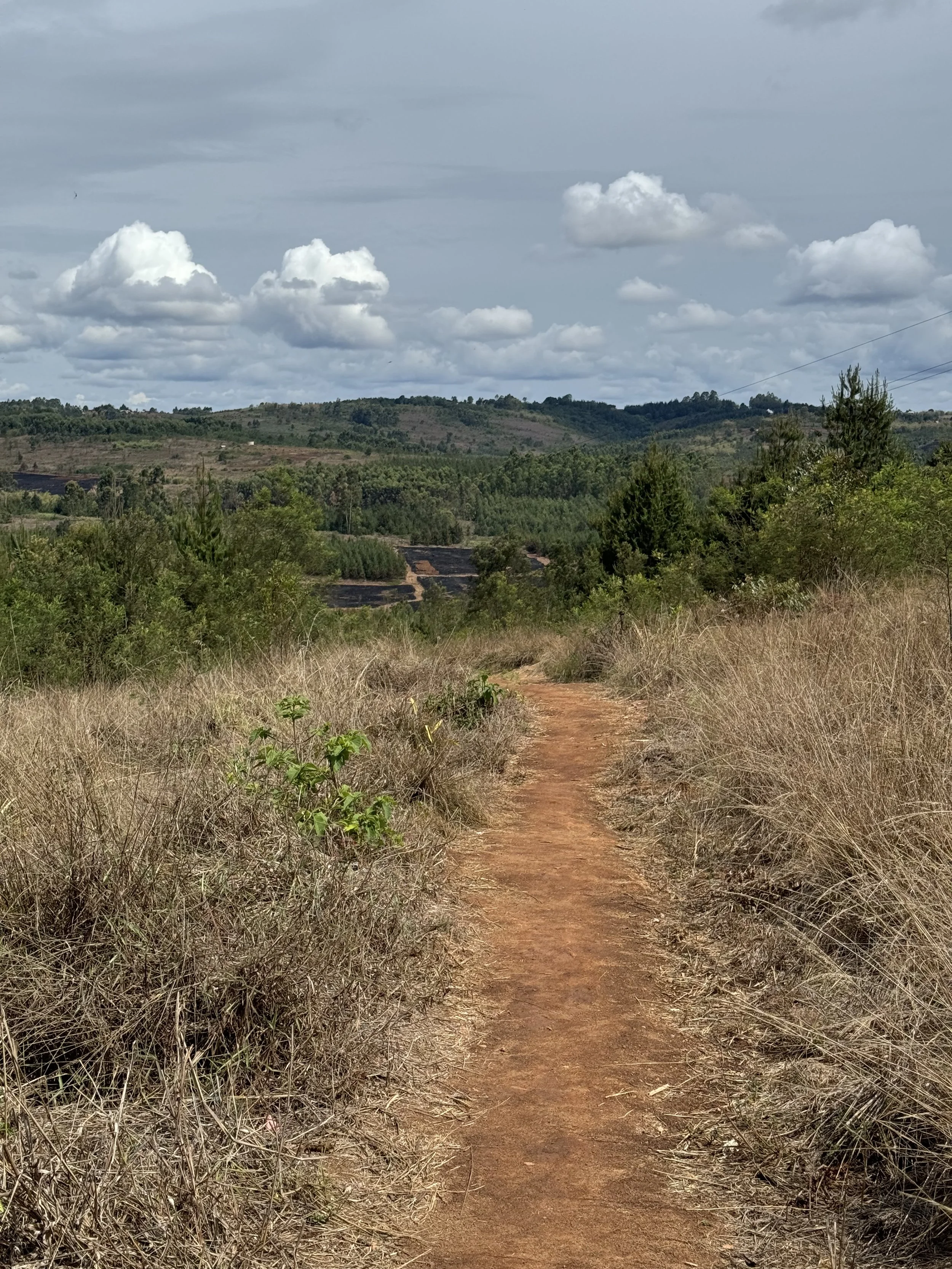  A pathway through the hills 