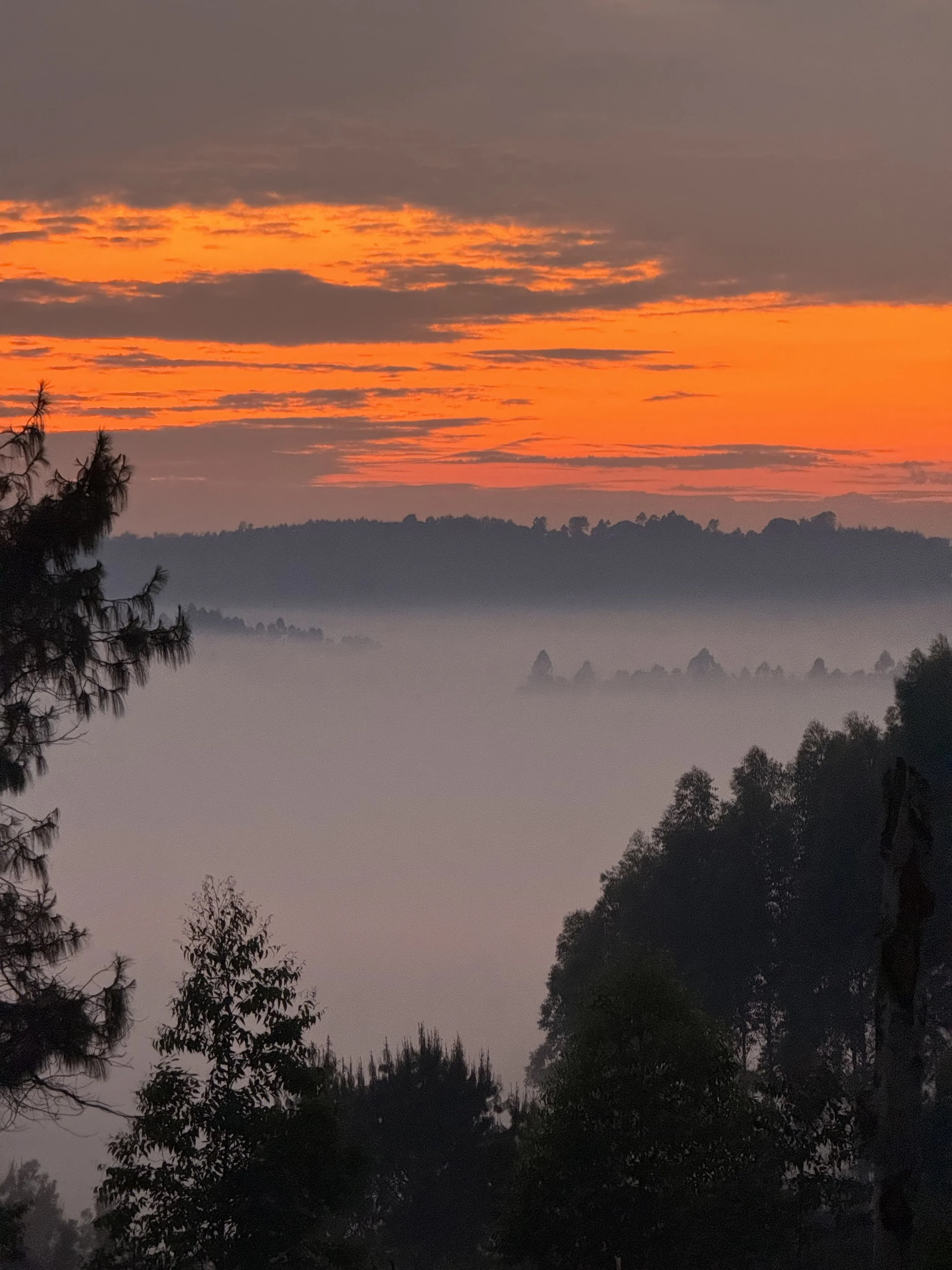  Sunrise over a foggy valley 