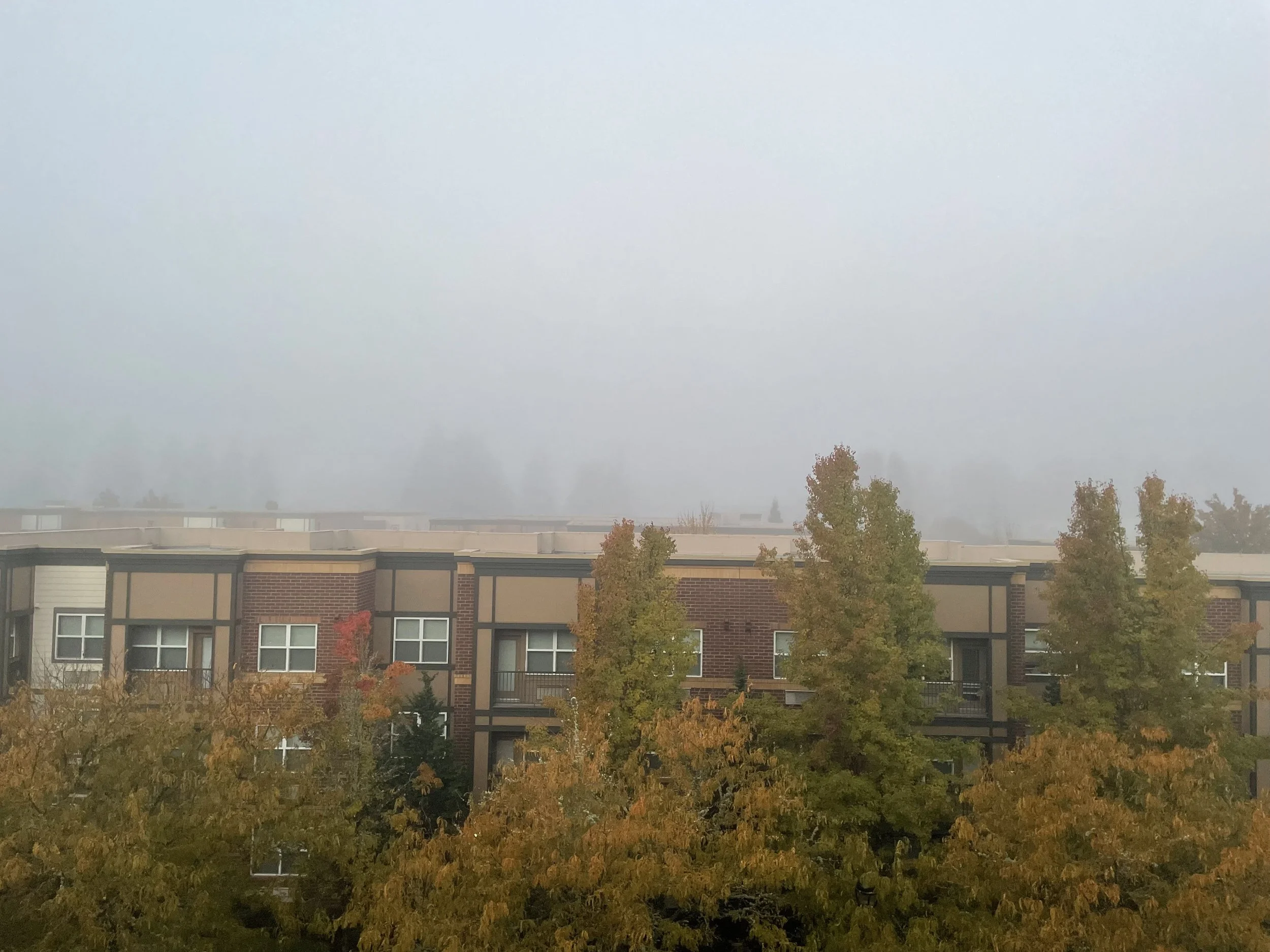  A foggy Oregon morning 
