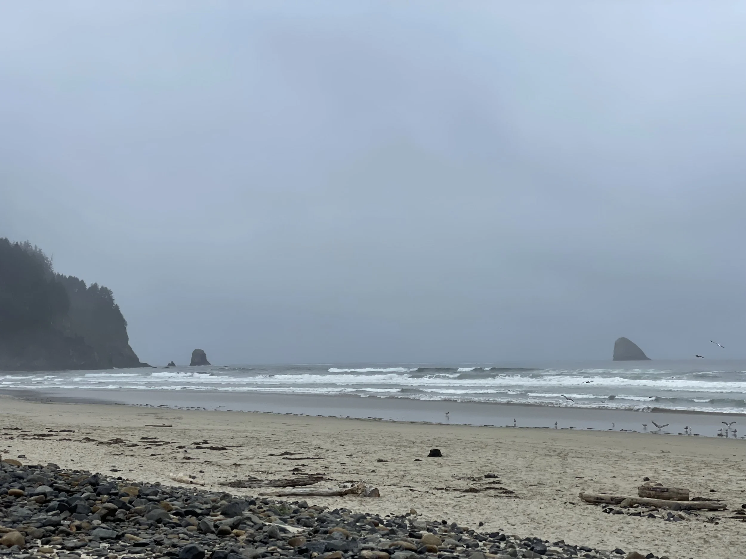  Cape Meares 