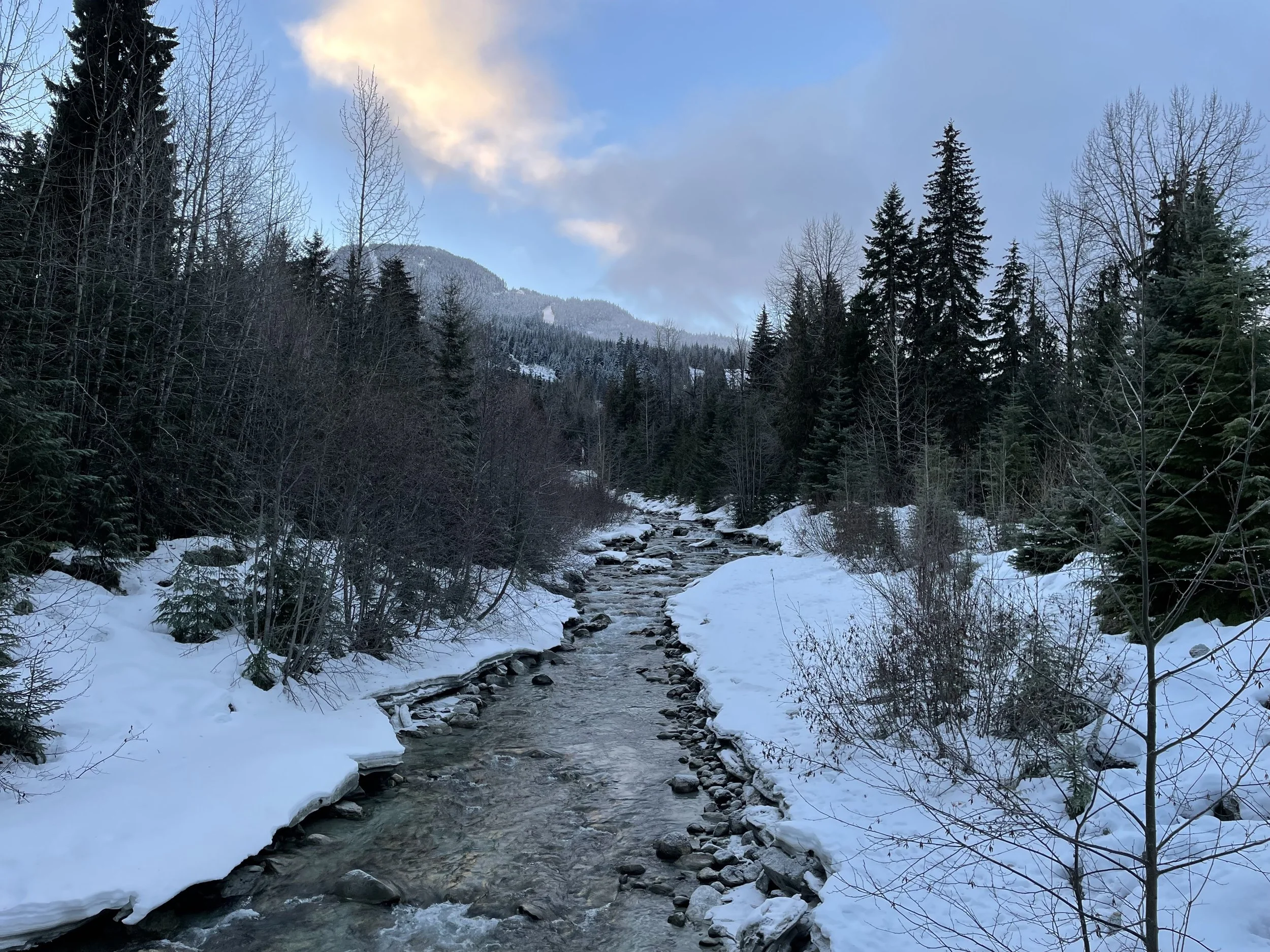  A snow-banked creek 