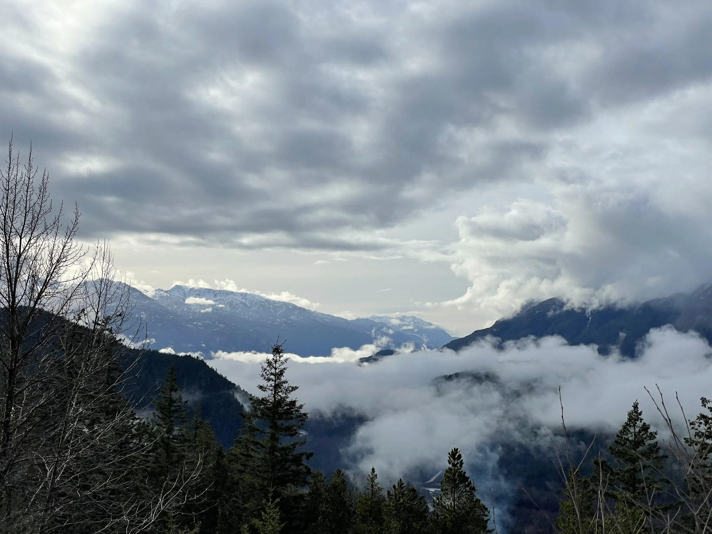  A foggy valley in Squamish, British Columbia 
